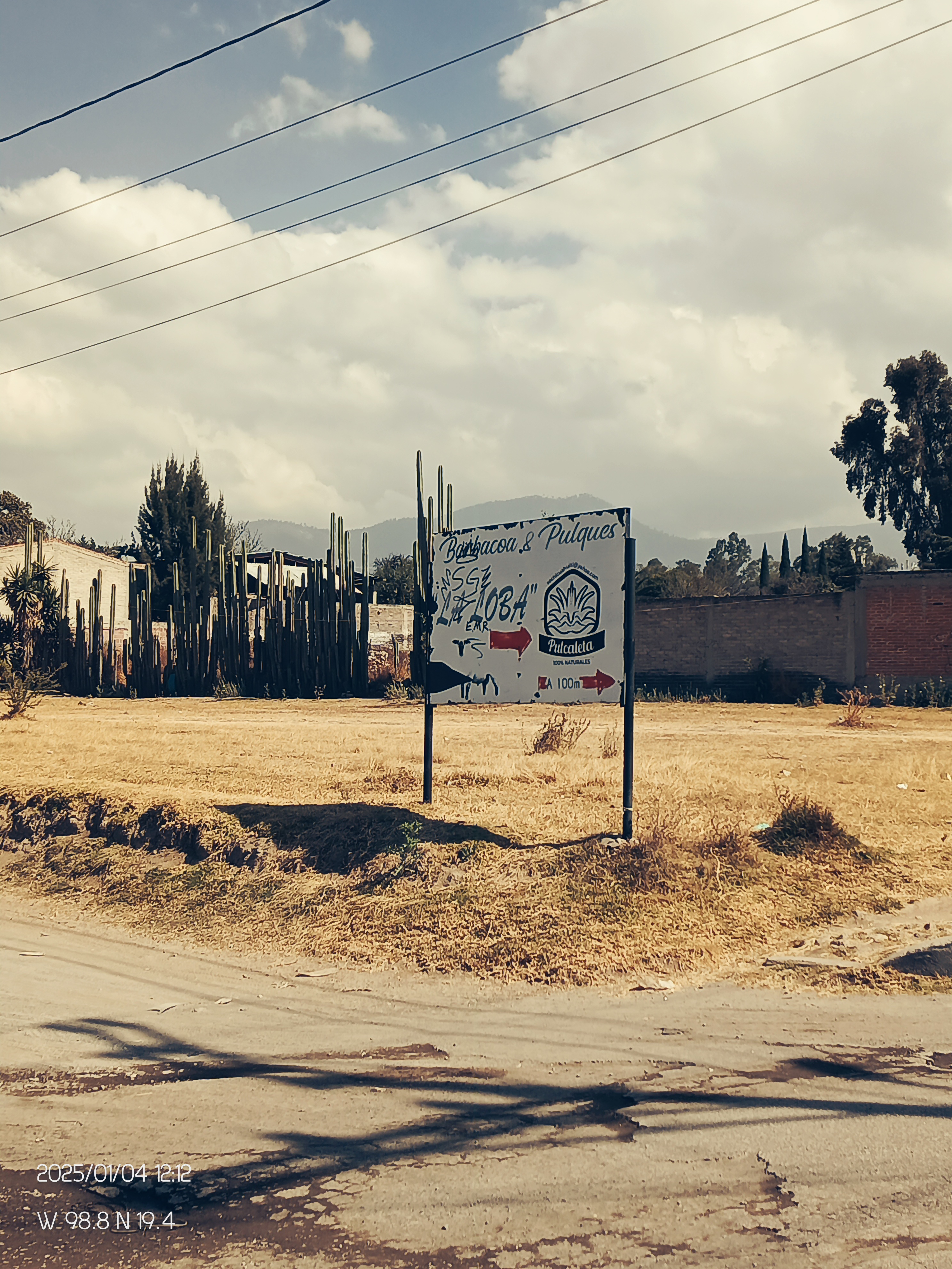 Pulqueria Familiar La Loba image 7