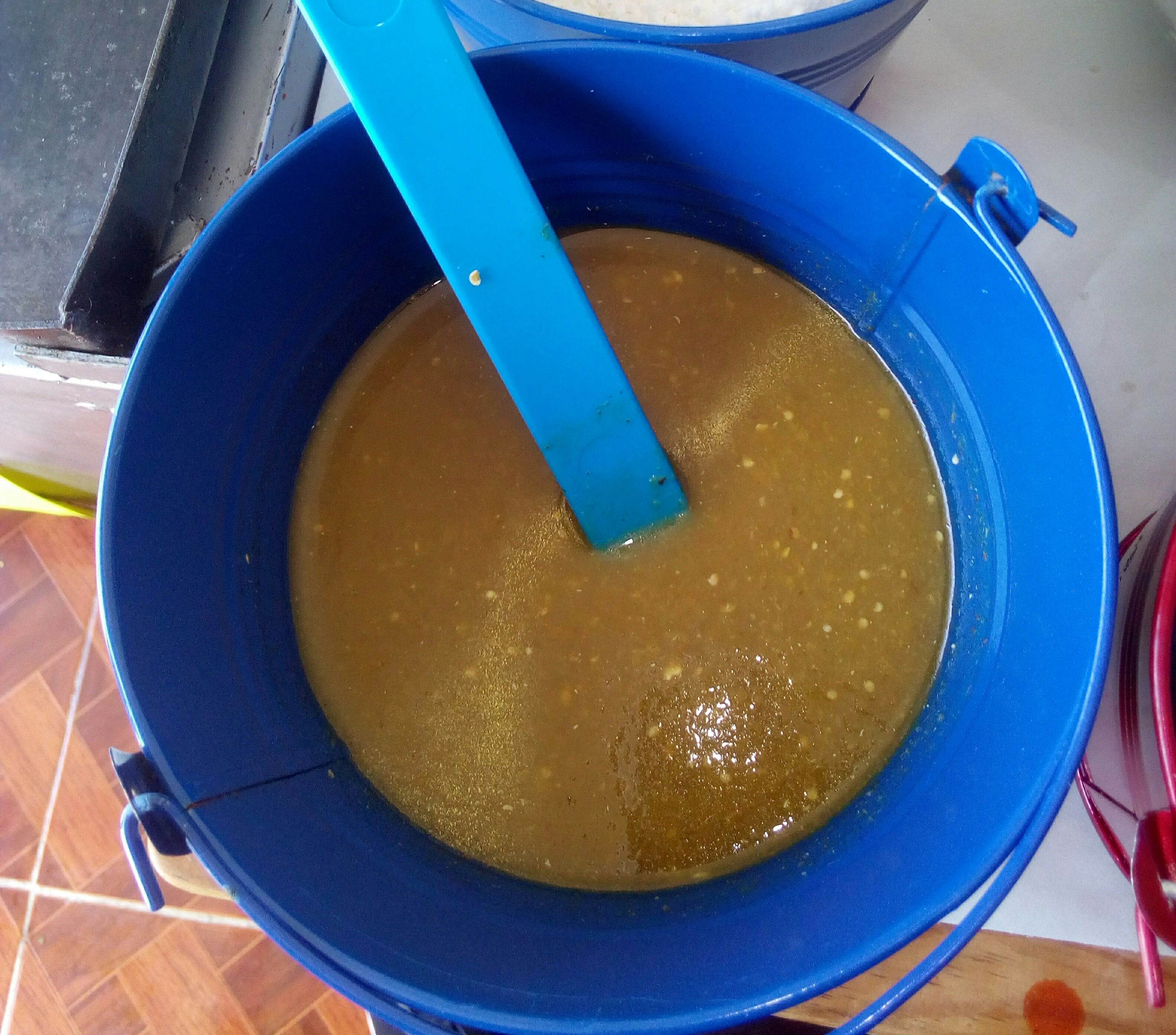 Huaracheria Hernandez image 2