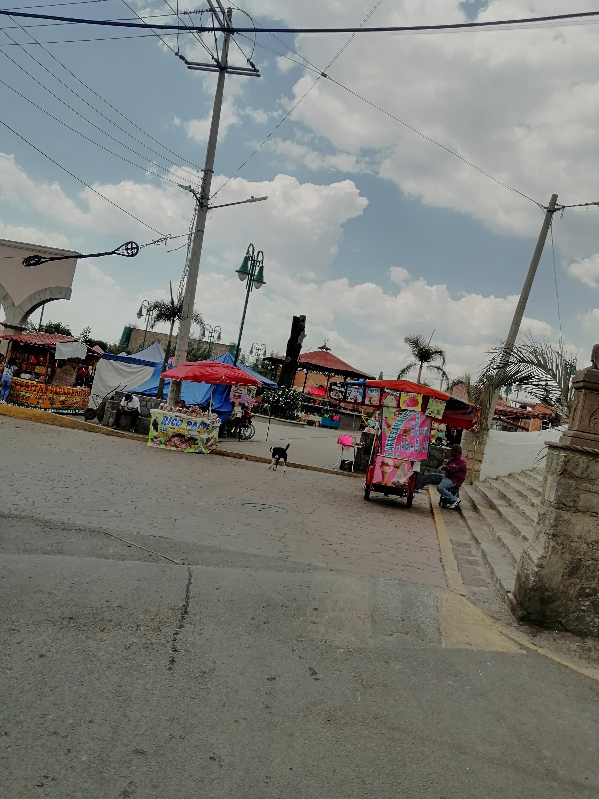 Rica Barbacoa De Horno El Paisa image 9