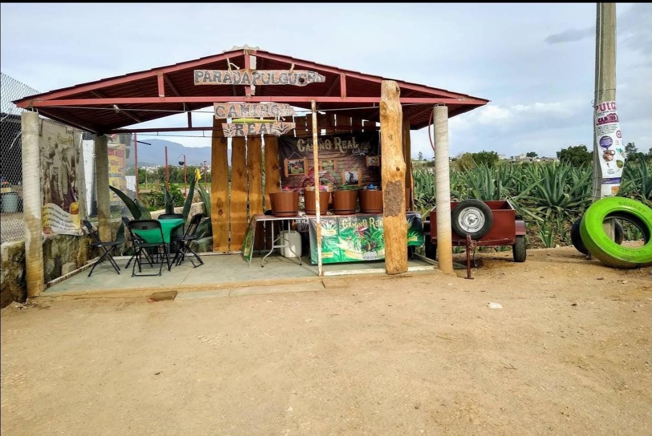 TINACAL CAMINO REAL image 2