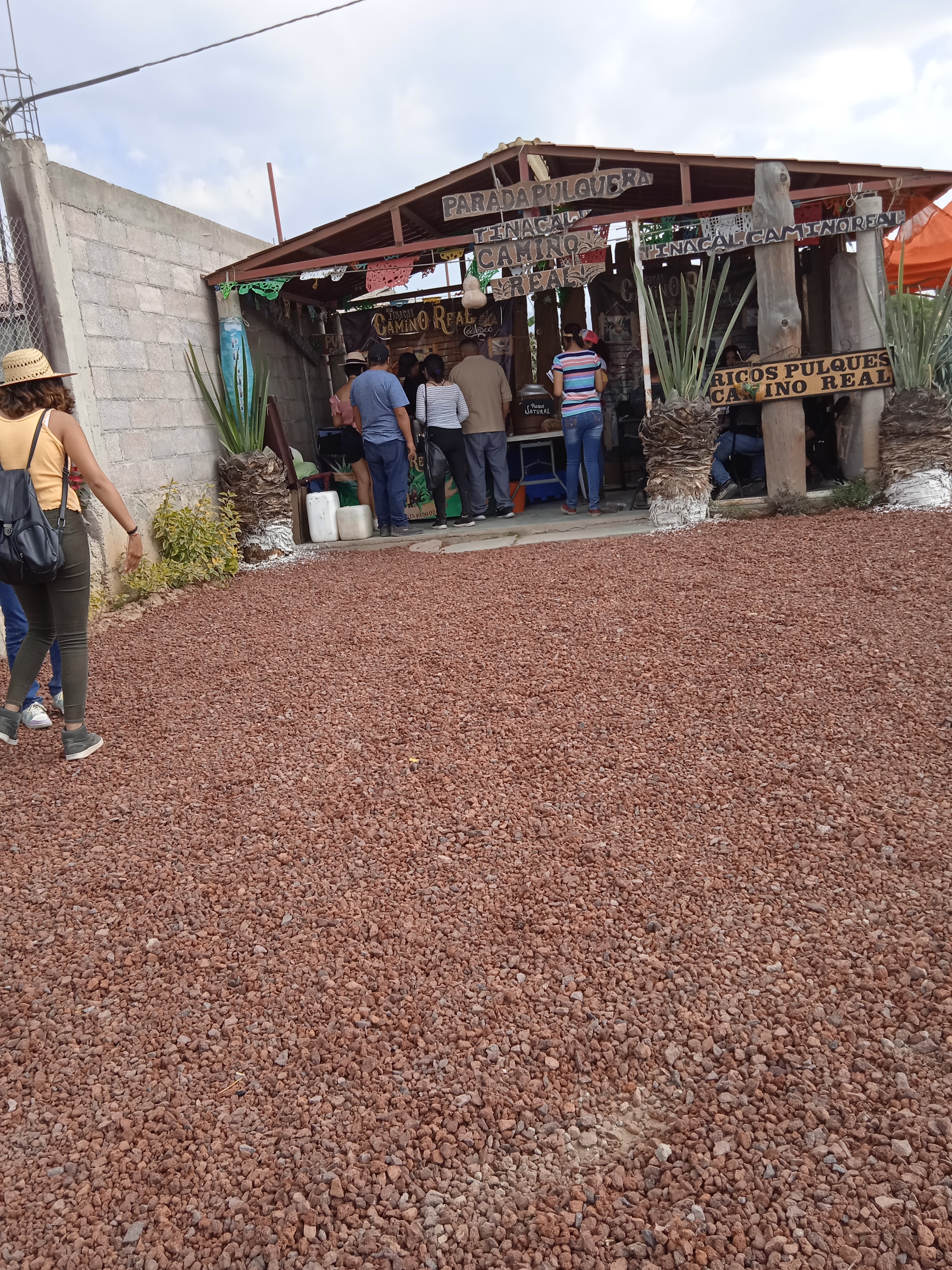 TINACAL CAMINO REAL image 4