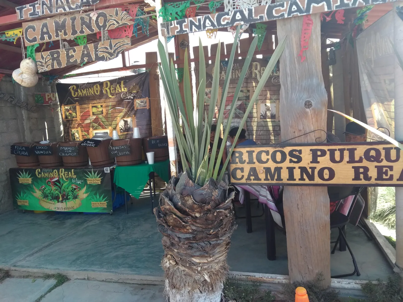 TINACAL CAMINO REAL image 5