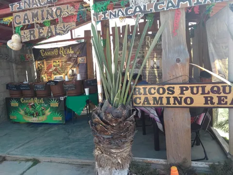 TINACAL CAMINO REAL image 5