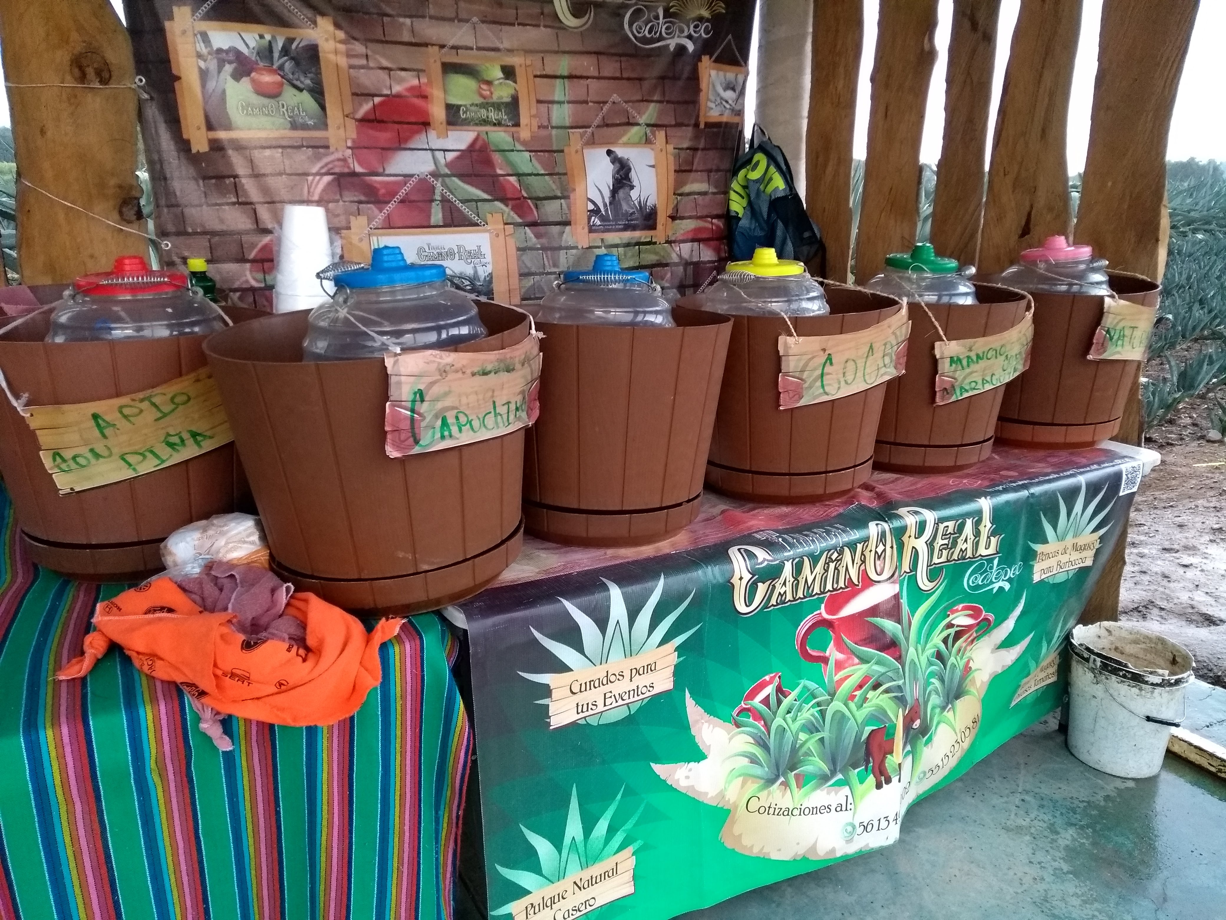 TINACAL CAMINO REAL image 6