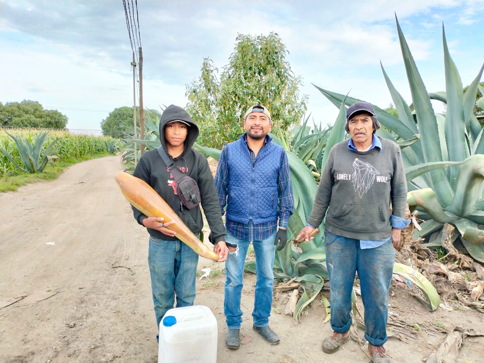 TINACAL CAMINO REAL image 7