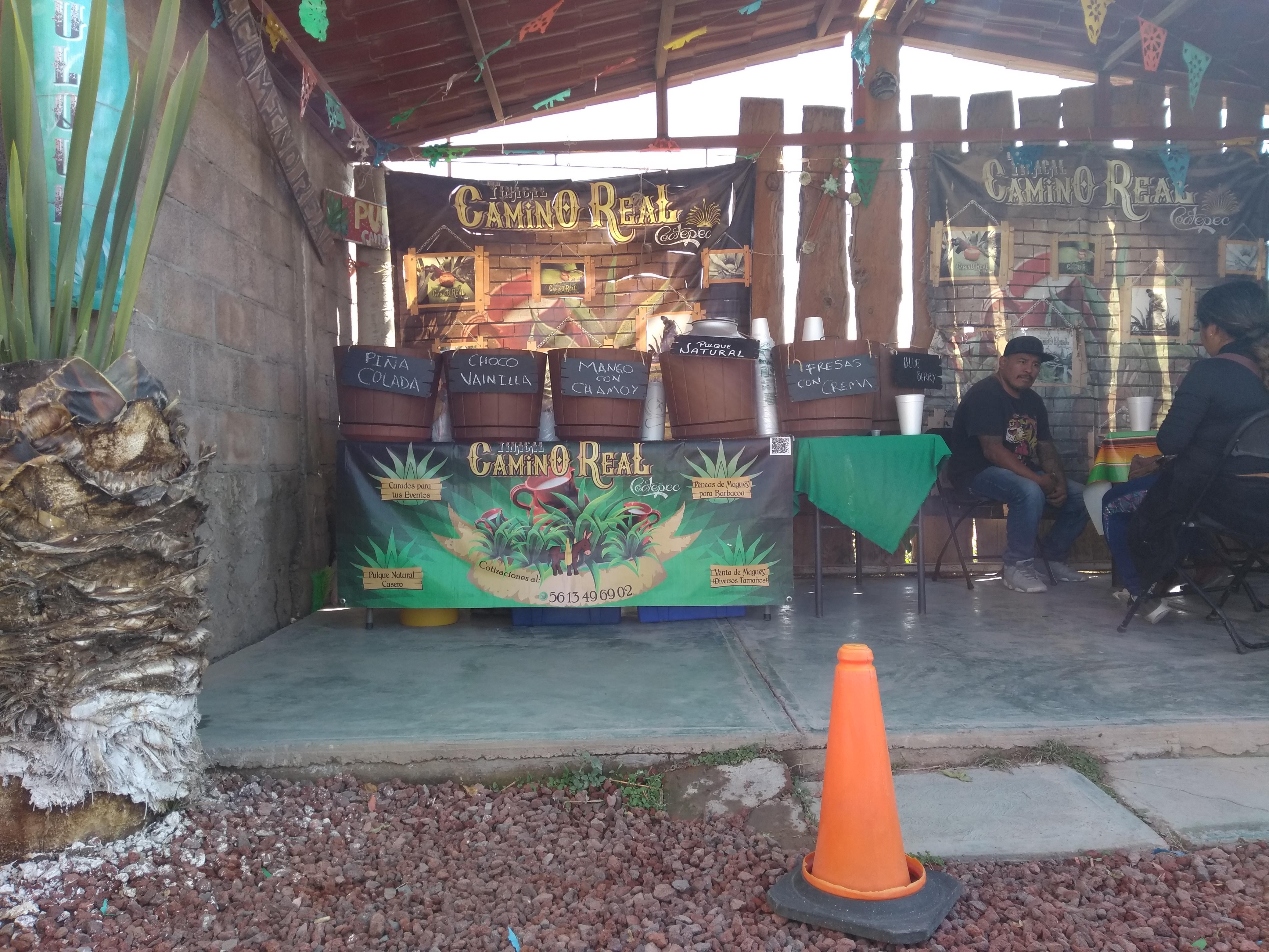 TINACAL CAMINO REAL image 8