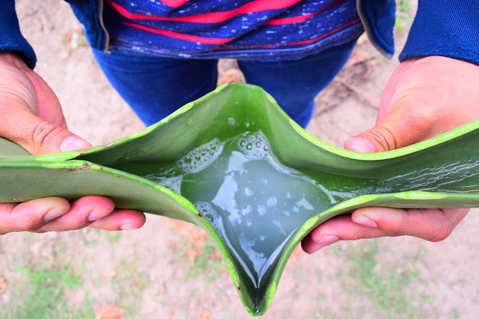 TINACAL CAMINO REAL image 9