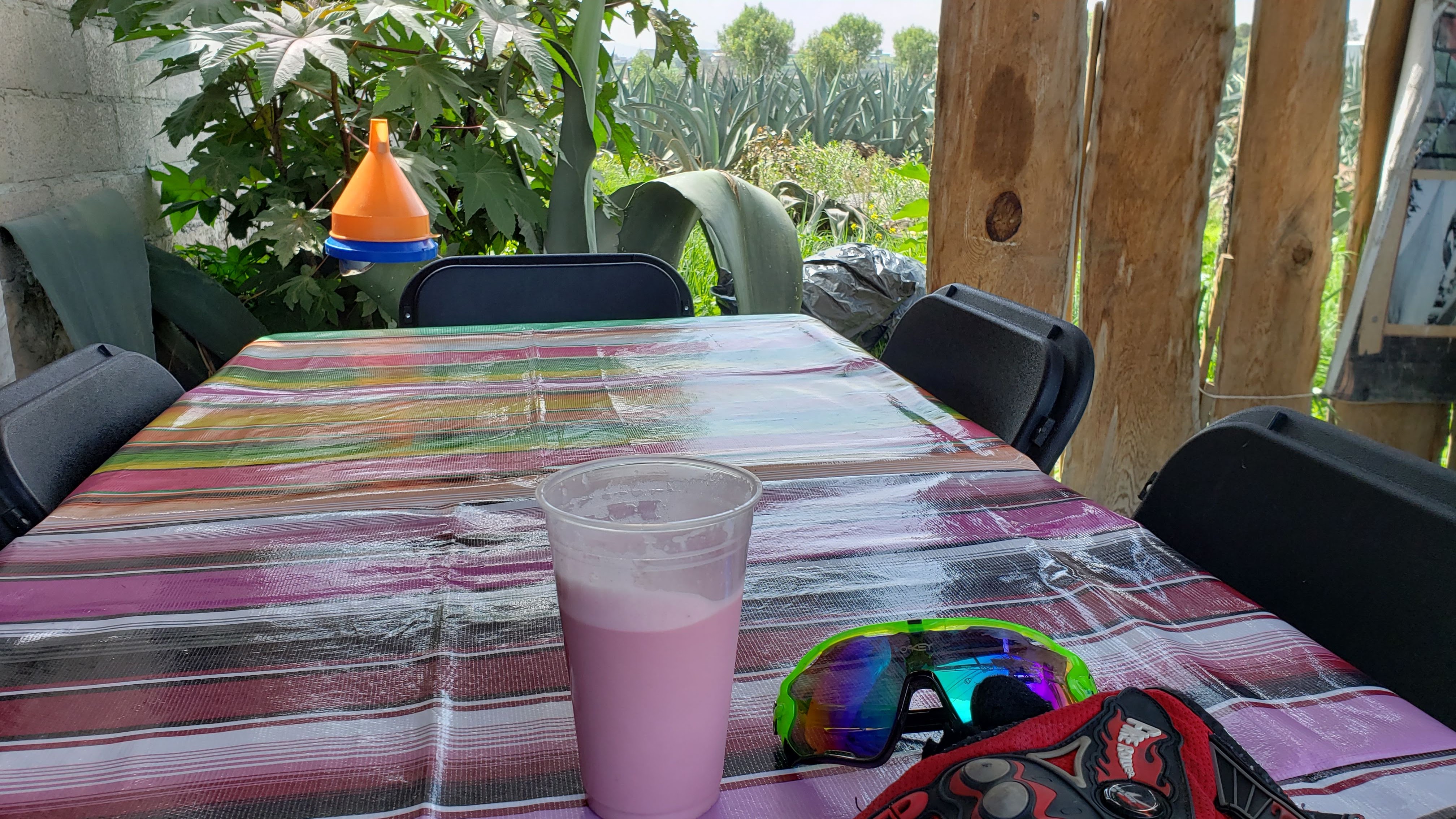 TINACAL CAMINO REAL image 10