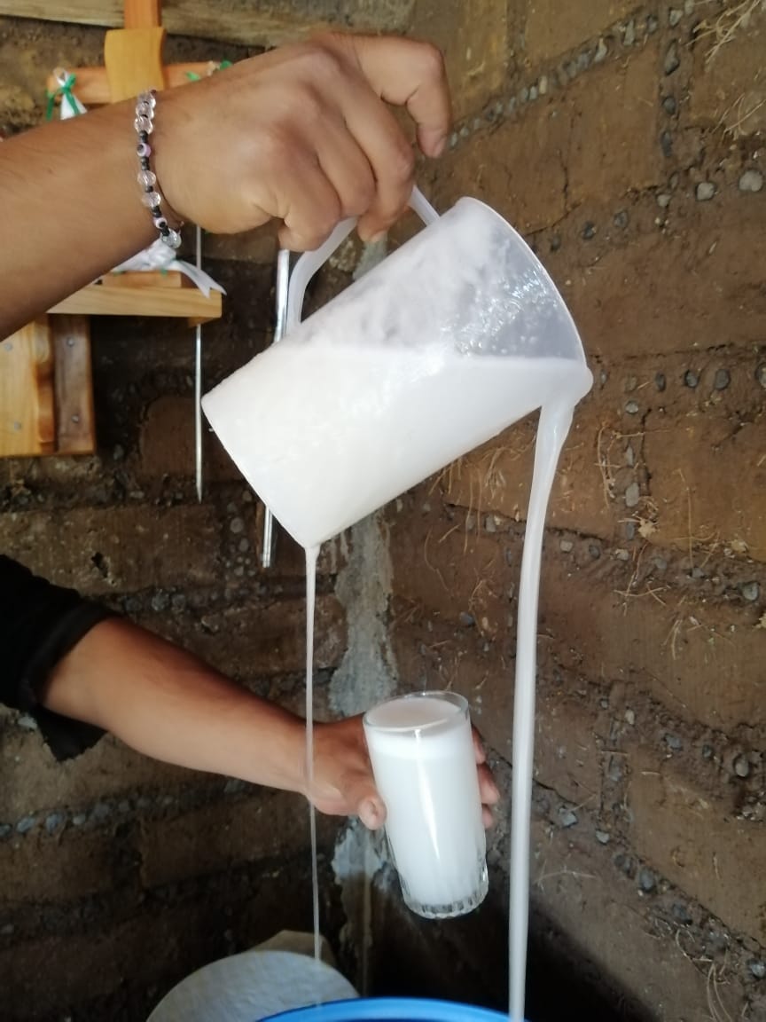 Pulques El Bronco image 6