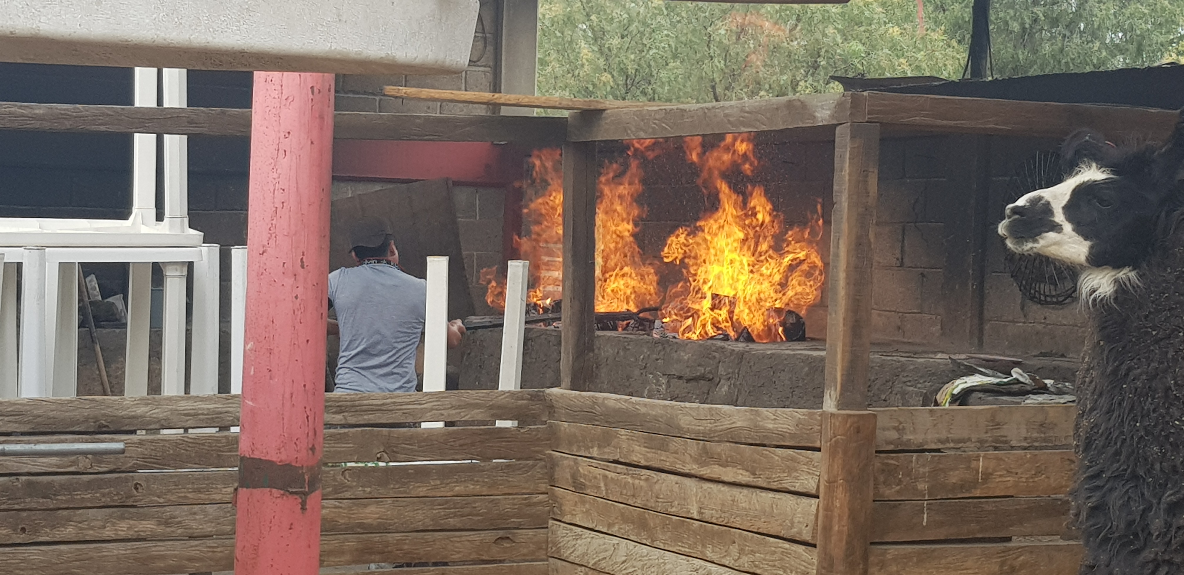 El Gran Chaparral image 1