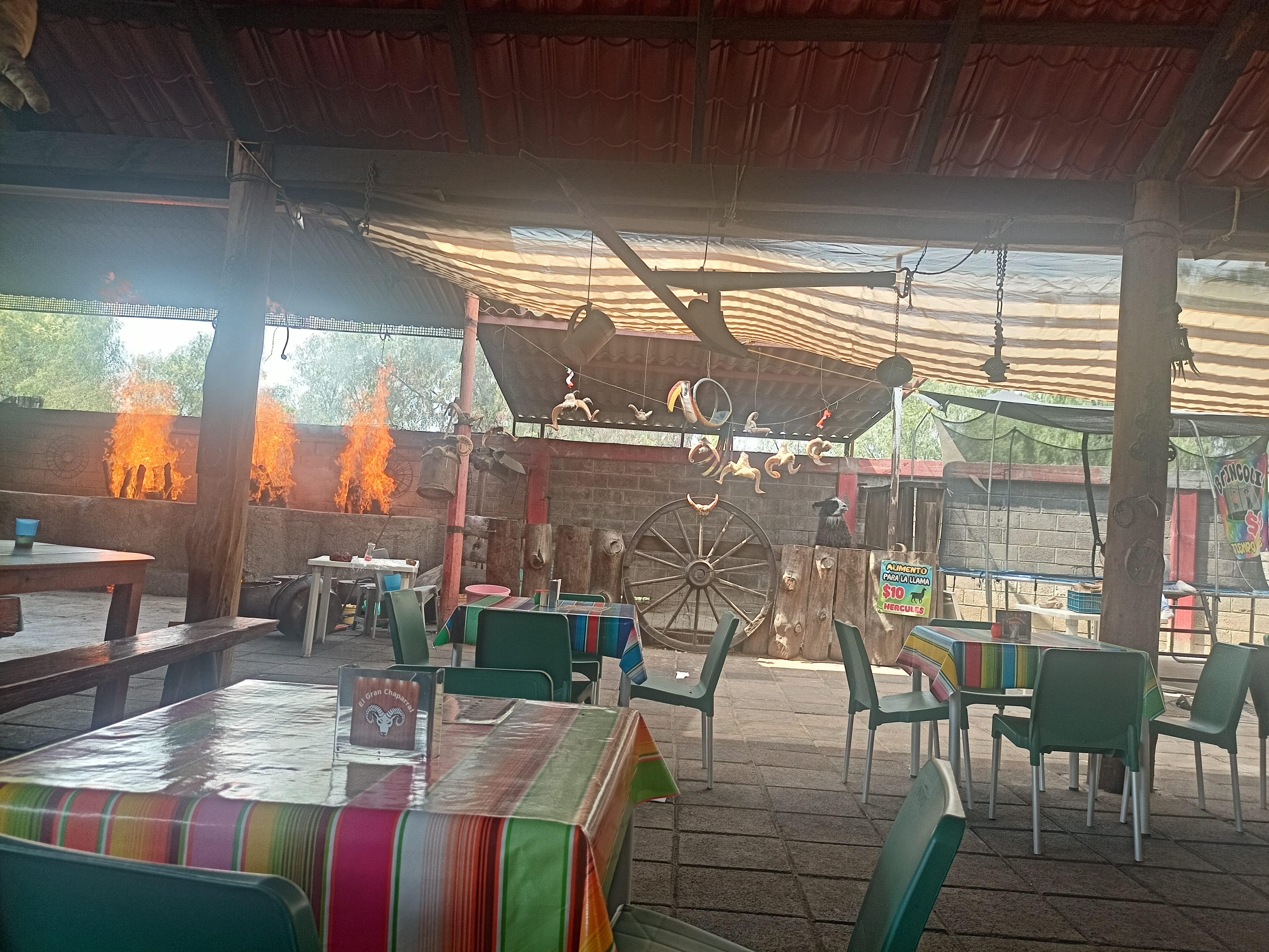 El Gran Chaparral image 6