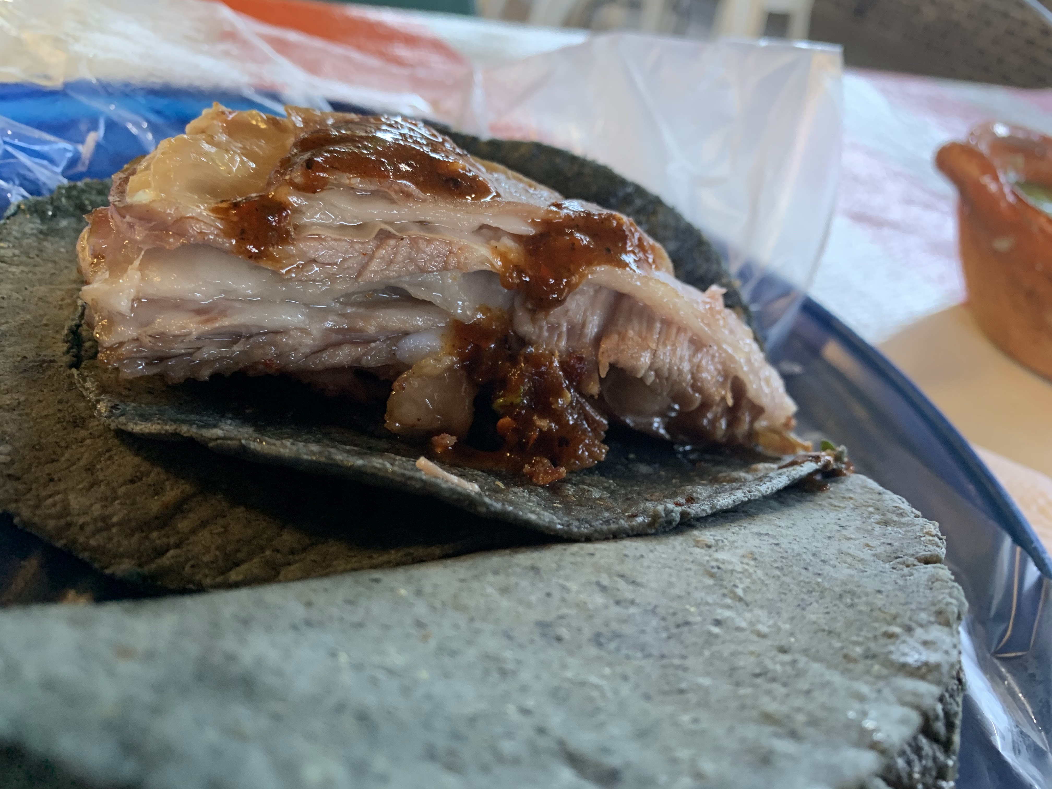 El Gran Chaparral image 10