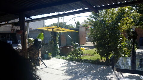 La Cantona image 4