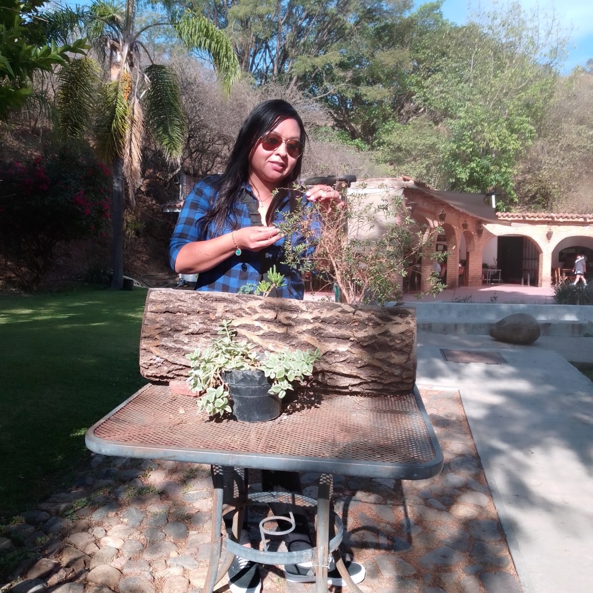 Restaurante La Quinta "Restaurant & Banquetes" image 3