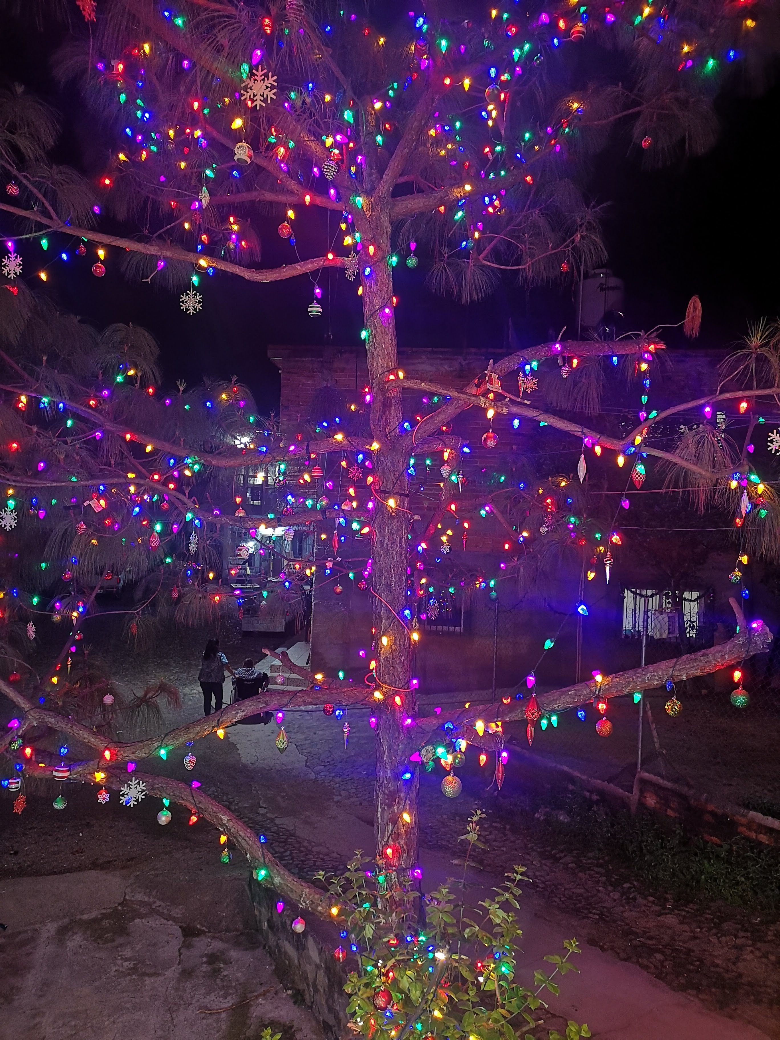 Cenaduría Doña Chayo image 6