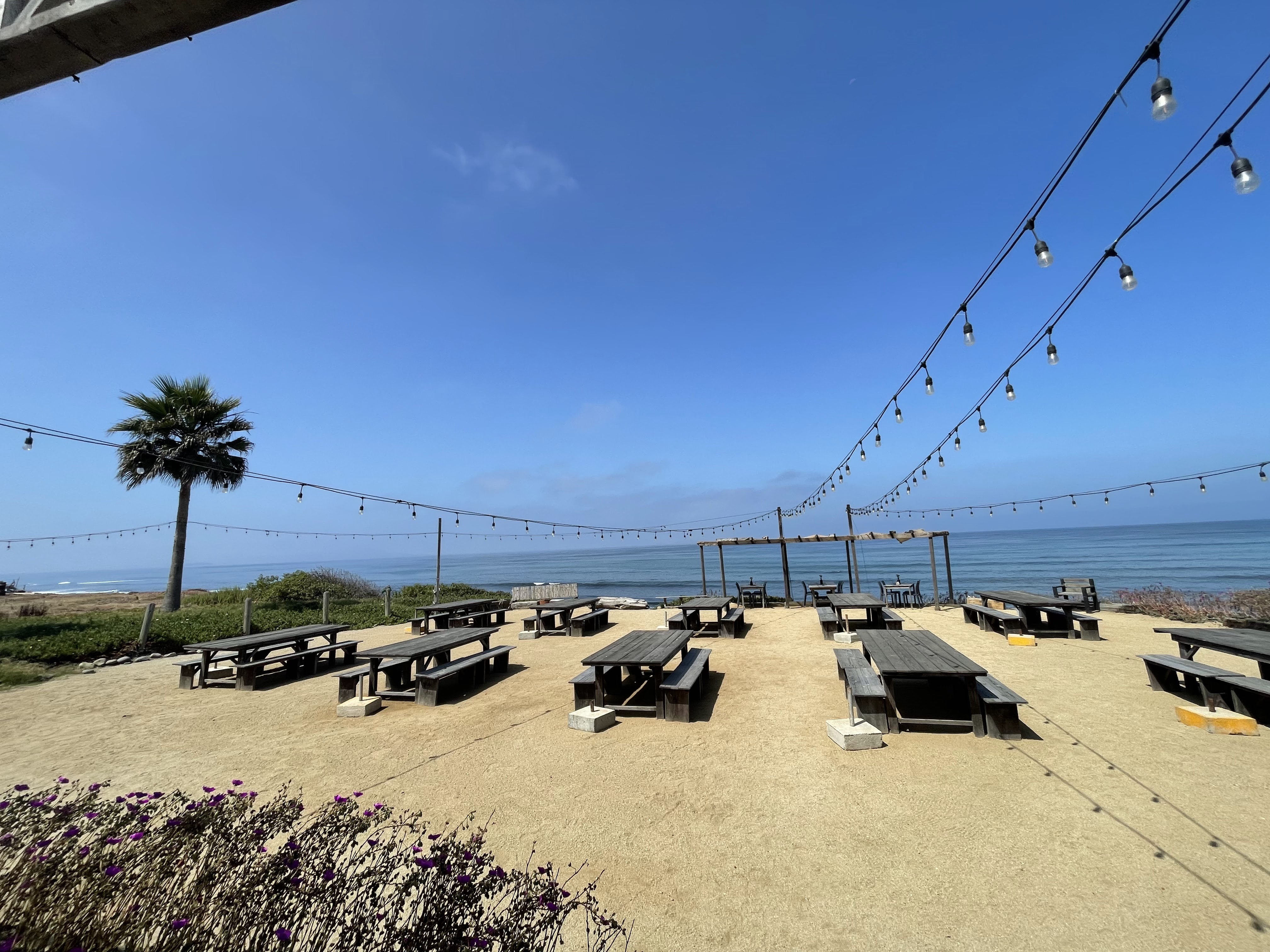 Terra Noble Restaurante image 4