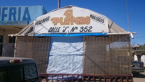 El Playero image 5