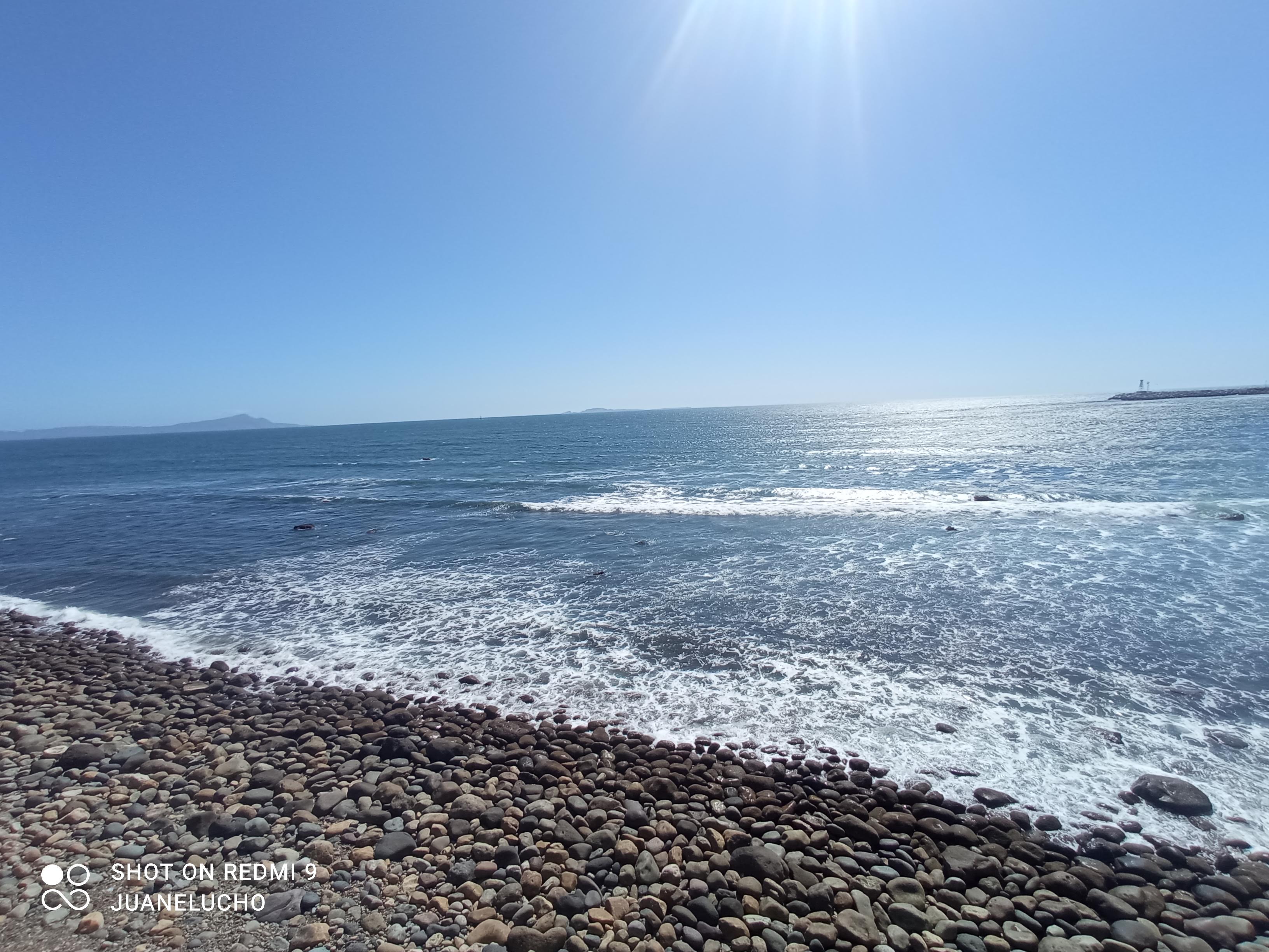 Restaurante Guisados La Vianda image 9