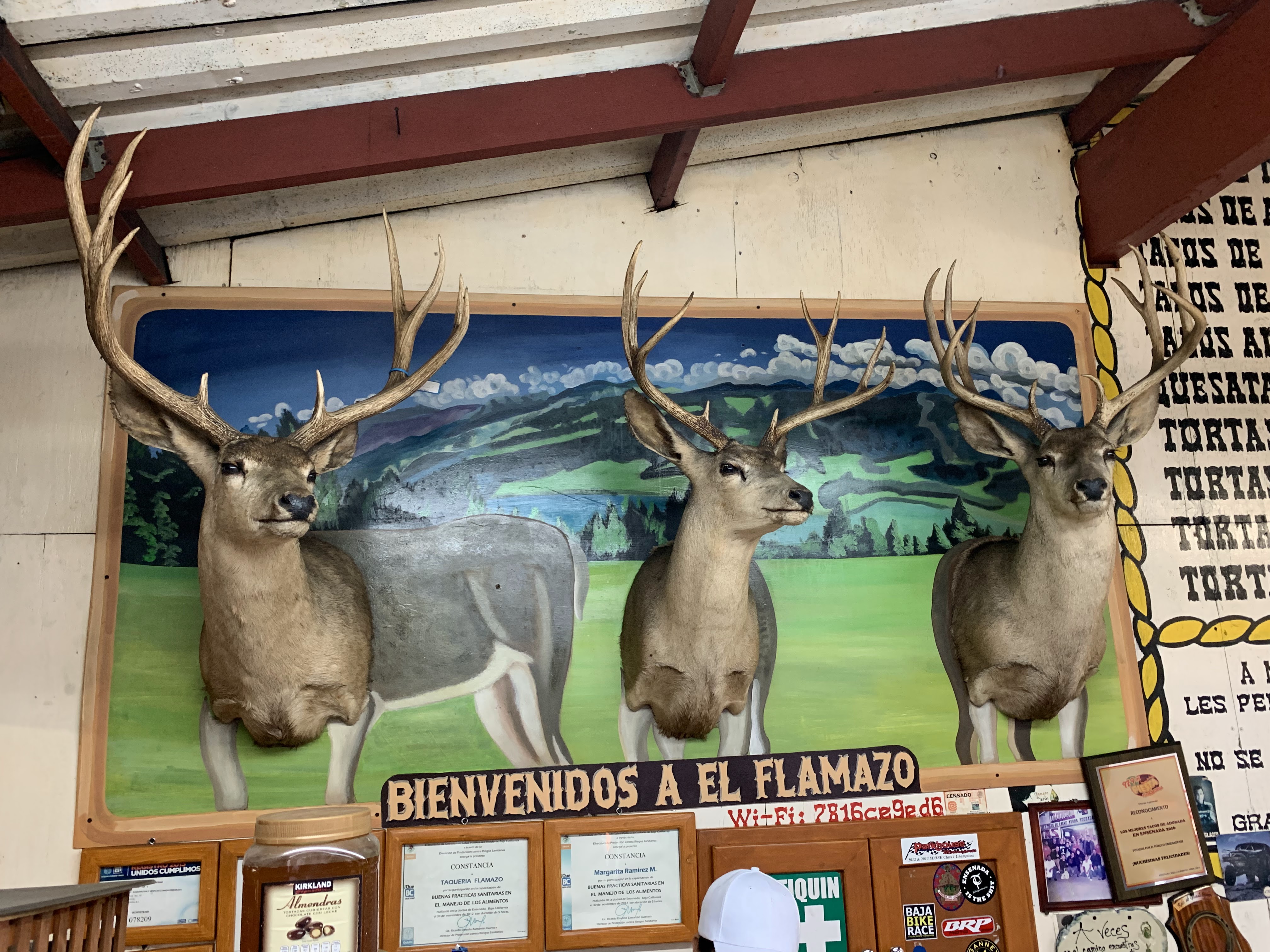 Taquería El Flamazo image 8