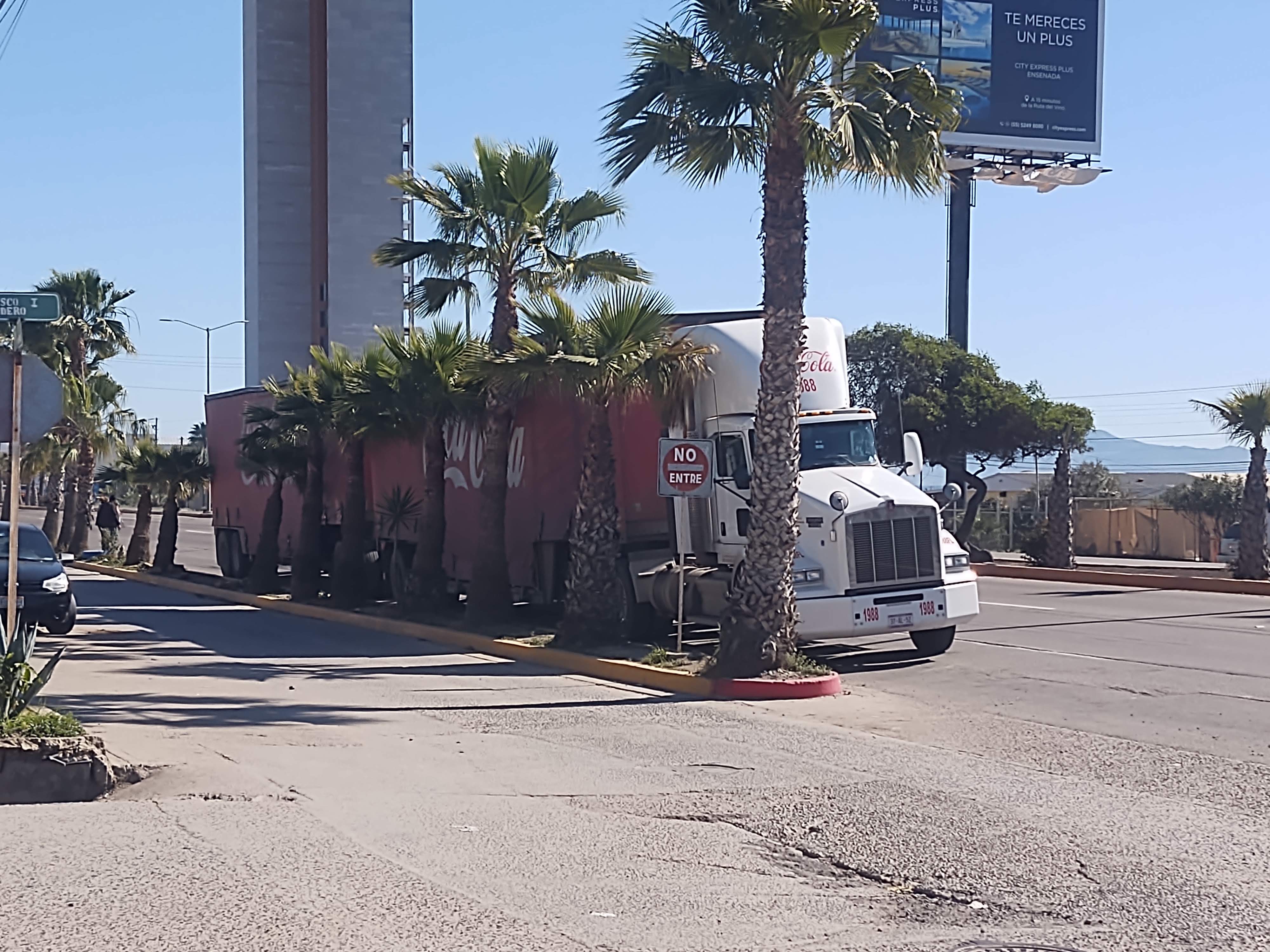 La Cochinita image 4