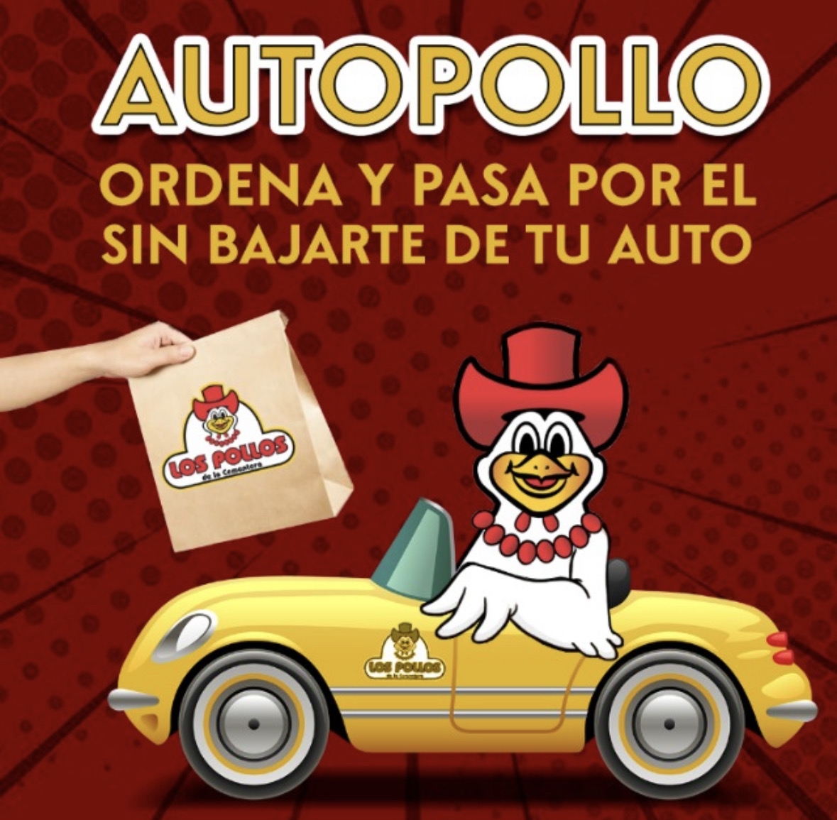 Pollos de la Cementera Suc Sauzal image 4