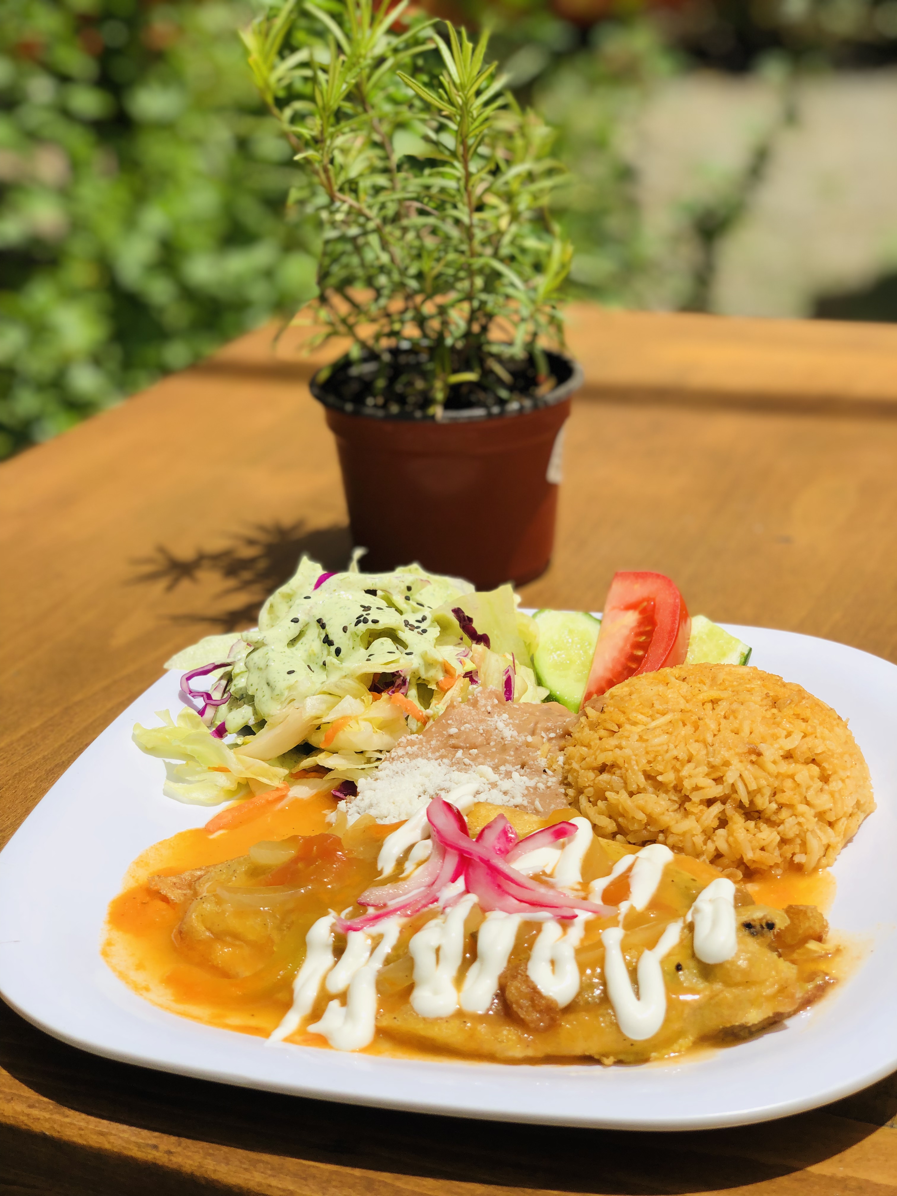 3 MMM El Sauzal image 9