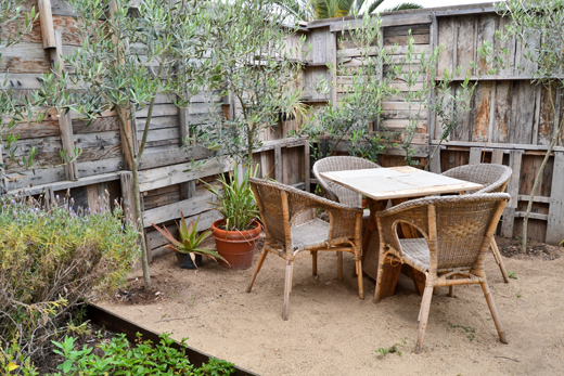 La Flor De La Calabaza image 1