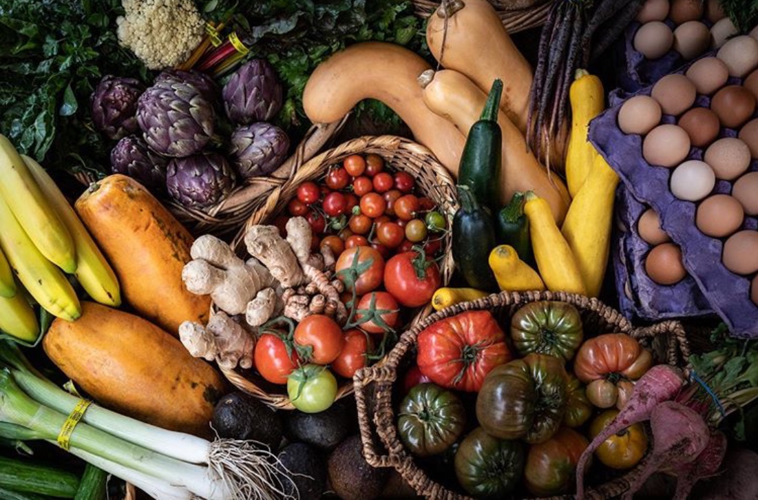 La Flor De La Calabaza image 2