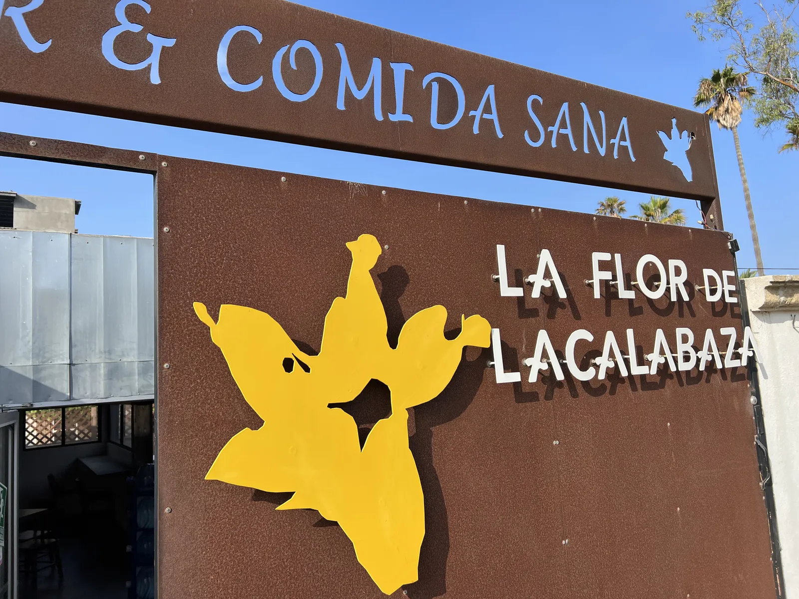 La Flor De La Calabaza image 4