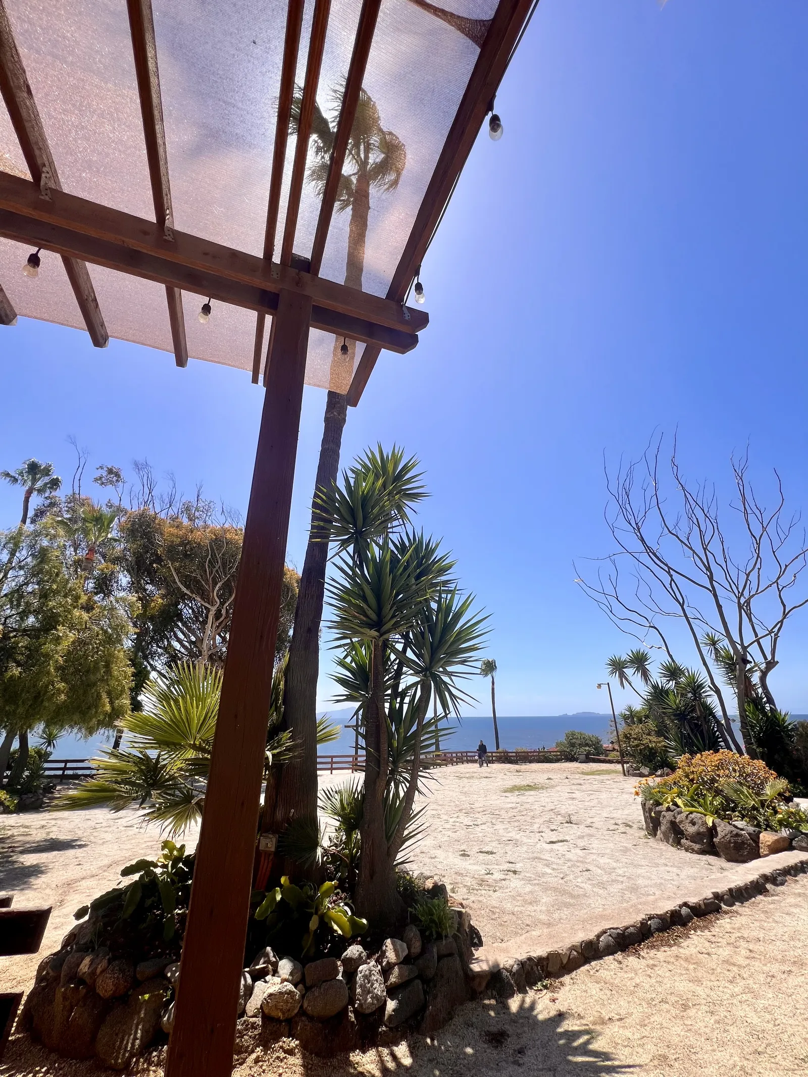 San Miguel Restaurante & wedding venue image 7