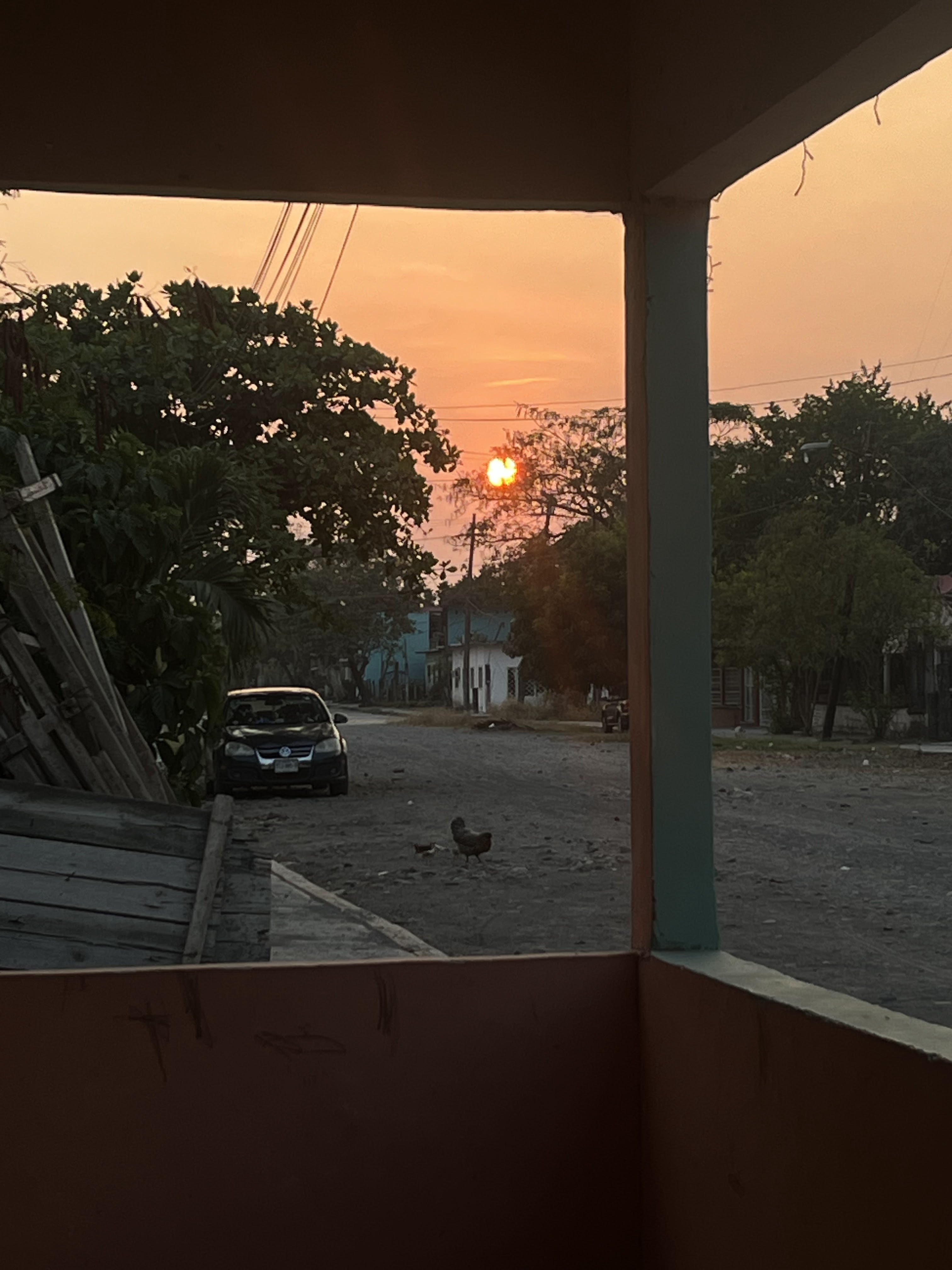 Artesanos pizzas image 3