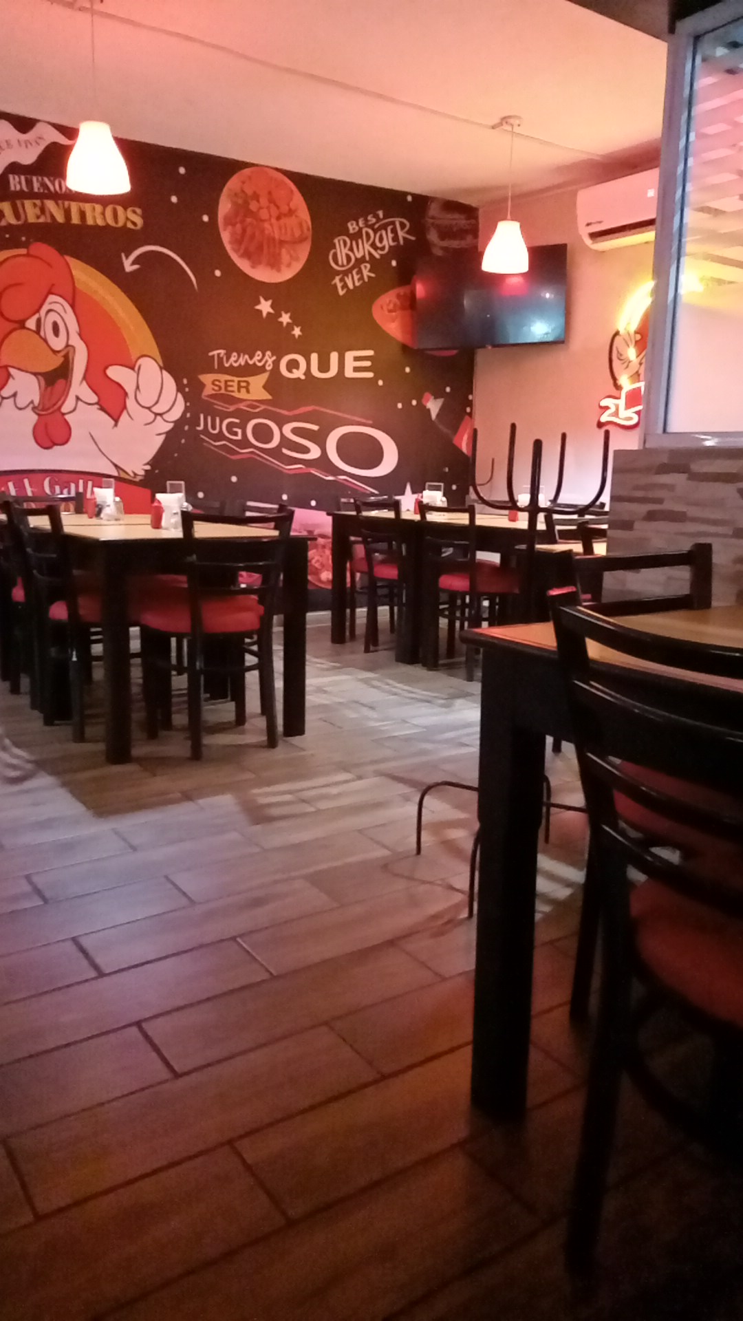 El Gallo de ORO image 4