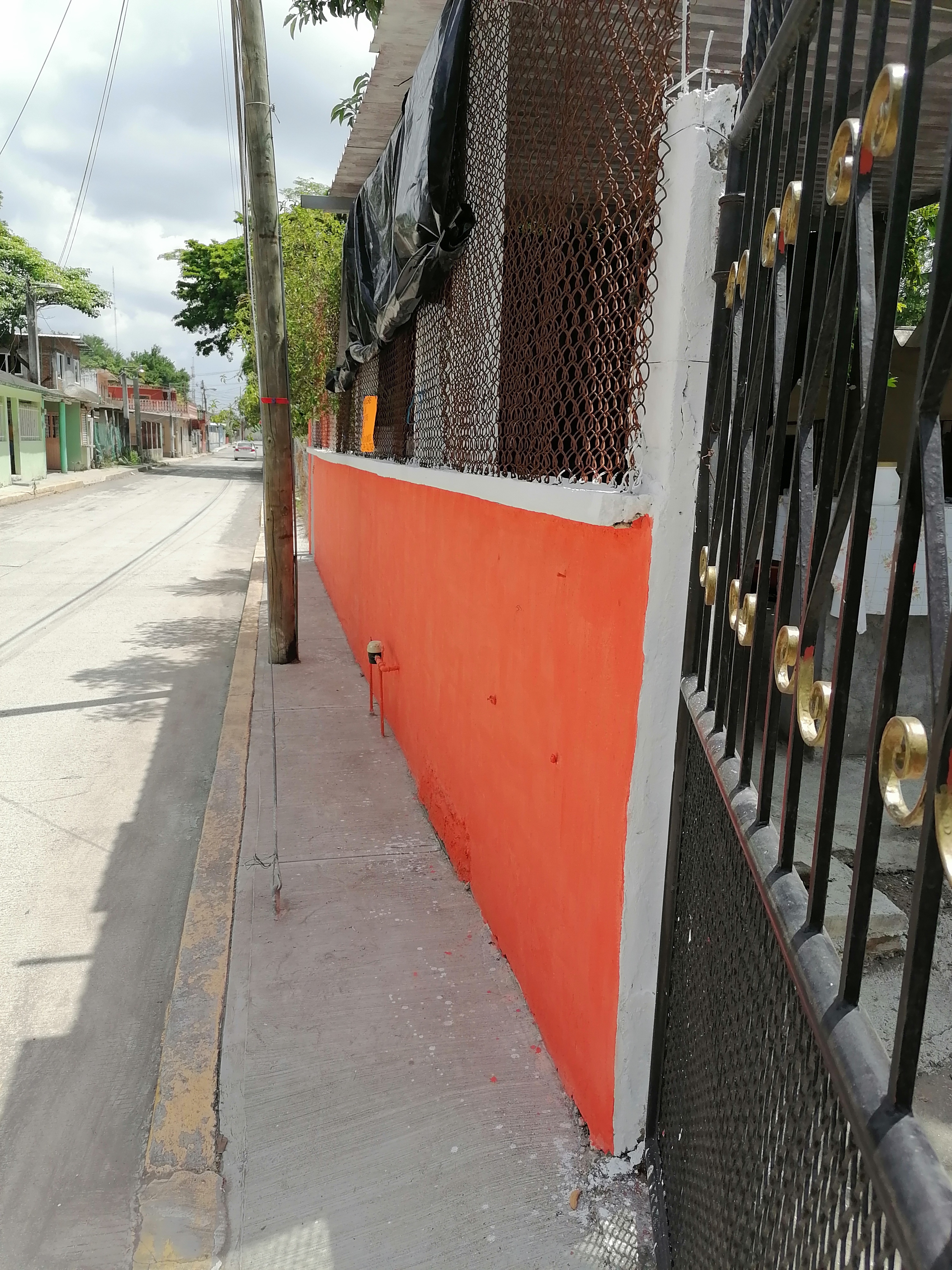 Monkey Hamburguesas al Carbón image 6