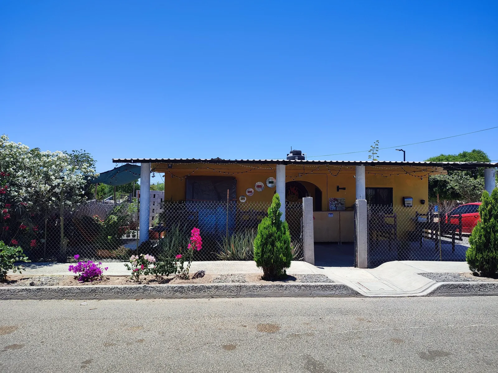 PizZavala’s image 4