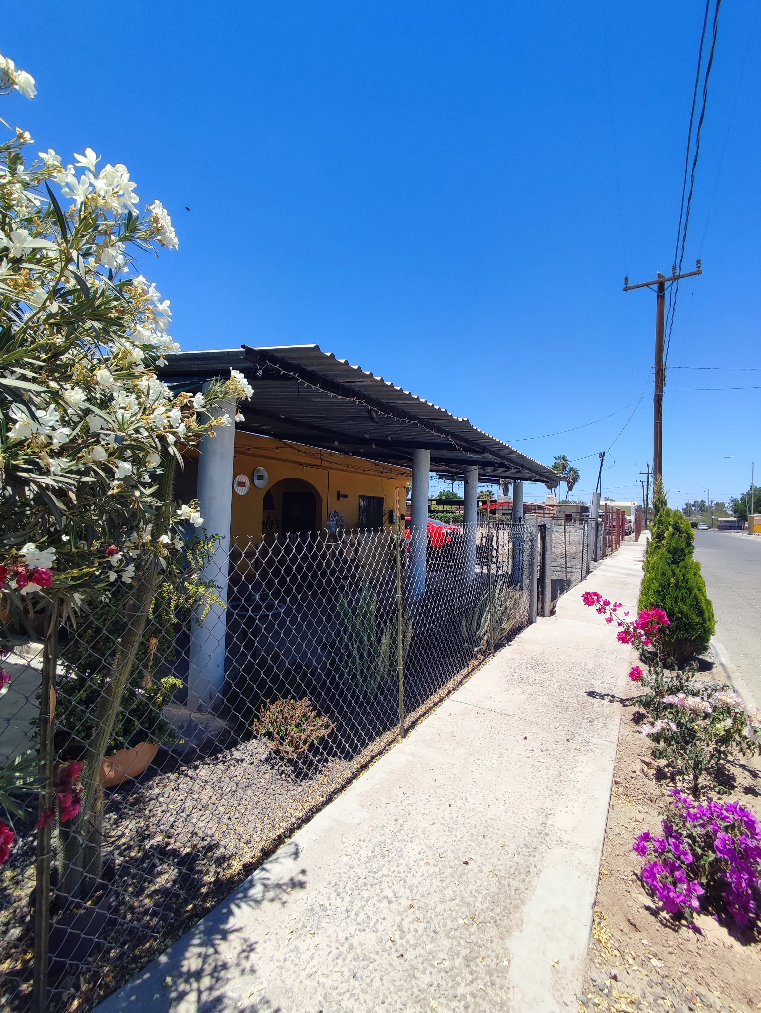 PizZavala’s image 7