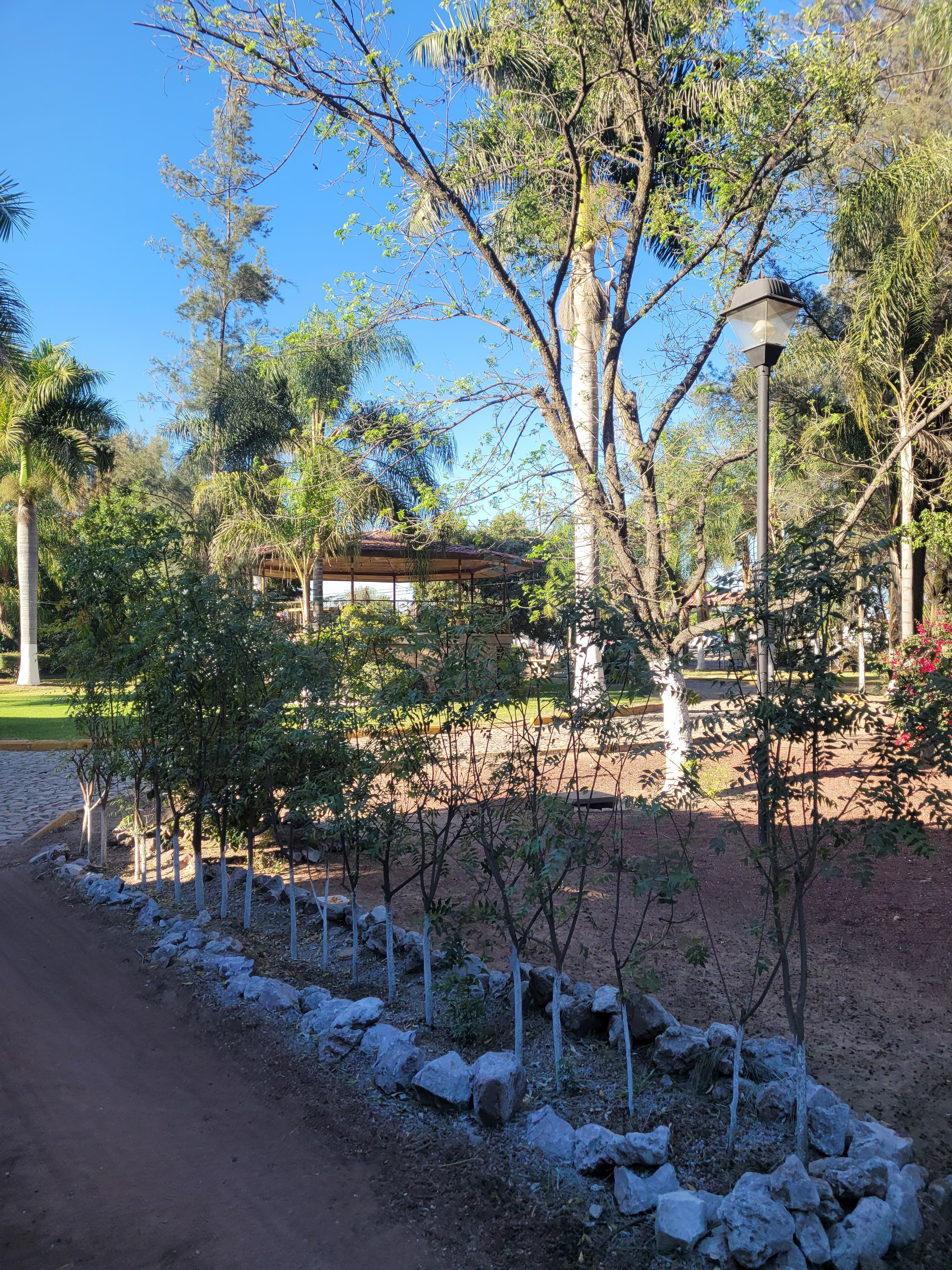 La Quinta del Moro image 6