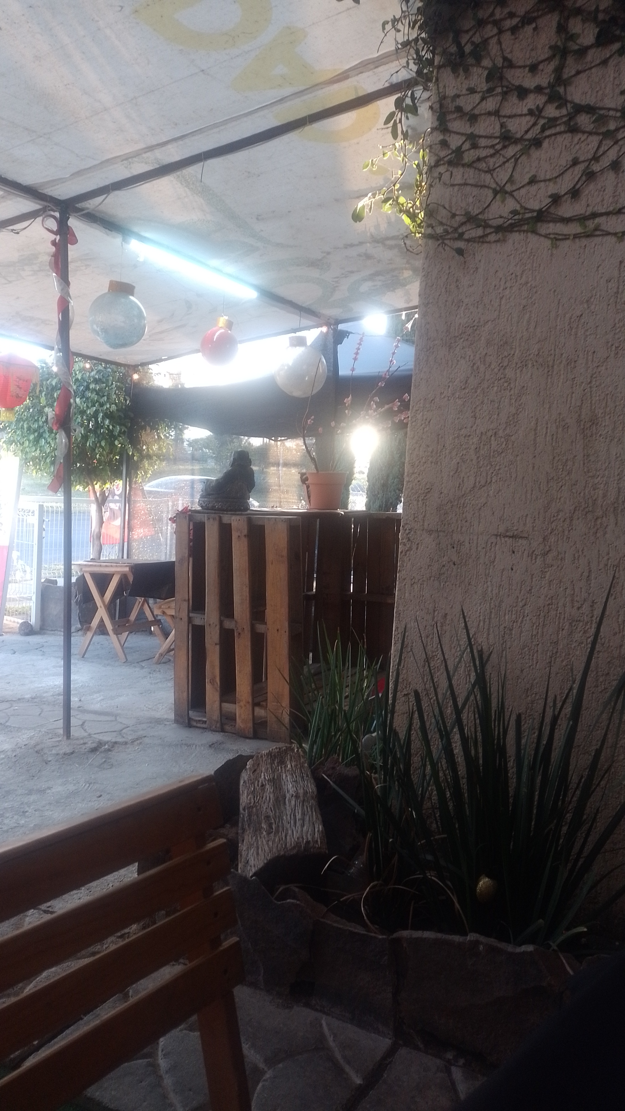 Sushi salas image 10