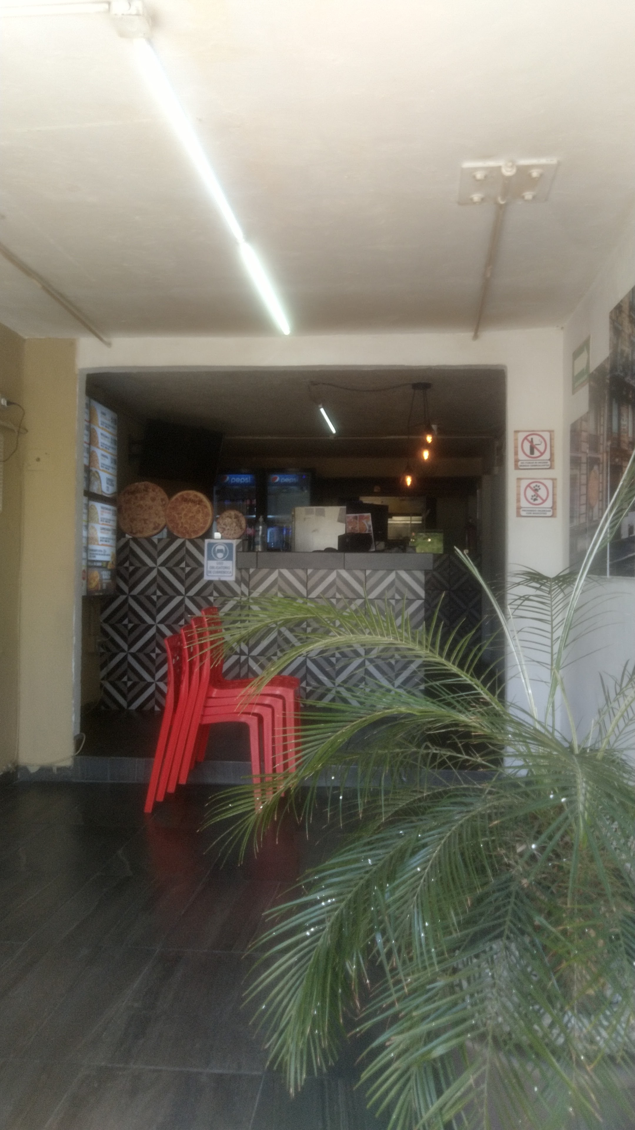 D'Gusta Pizza Agaves image 10