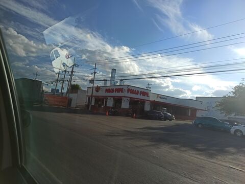 Pollo Pepe image 5