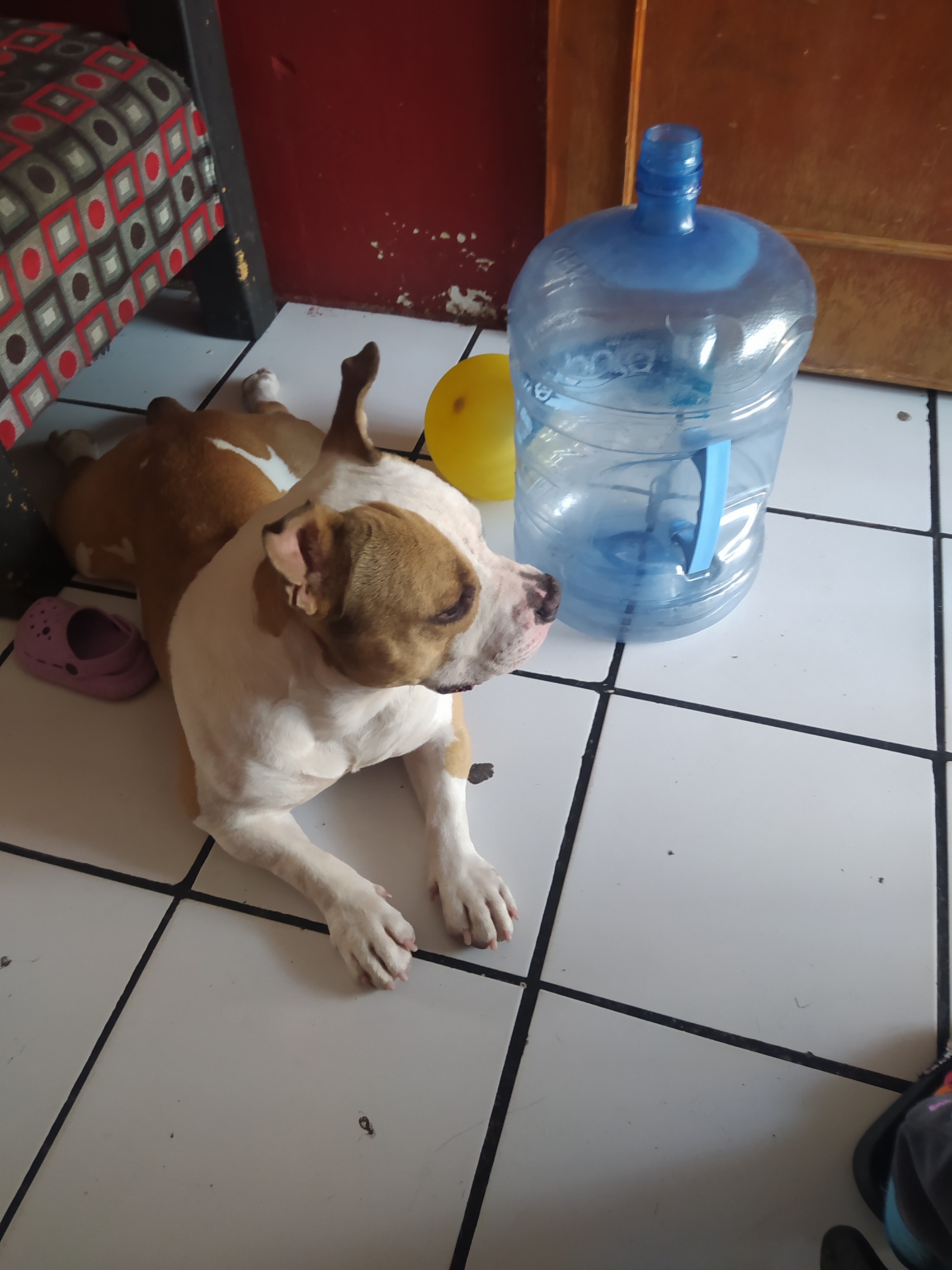 Pizzas Brothers image 2