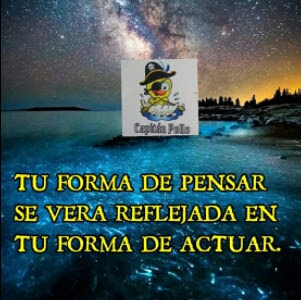 Capitan Pollo image 4