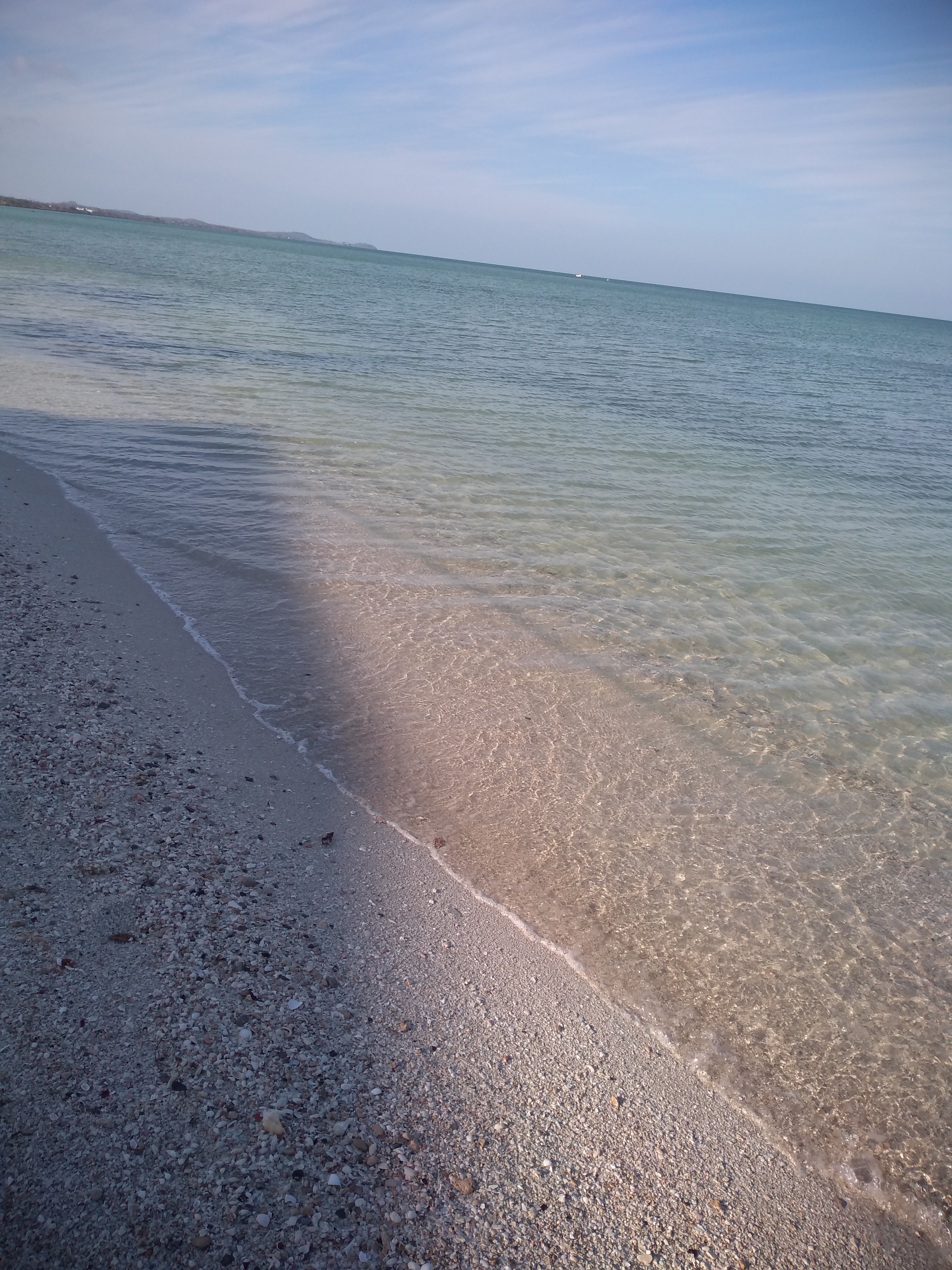 Carnitas estilo Michoacán "Wichos" image 2