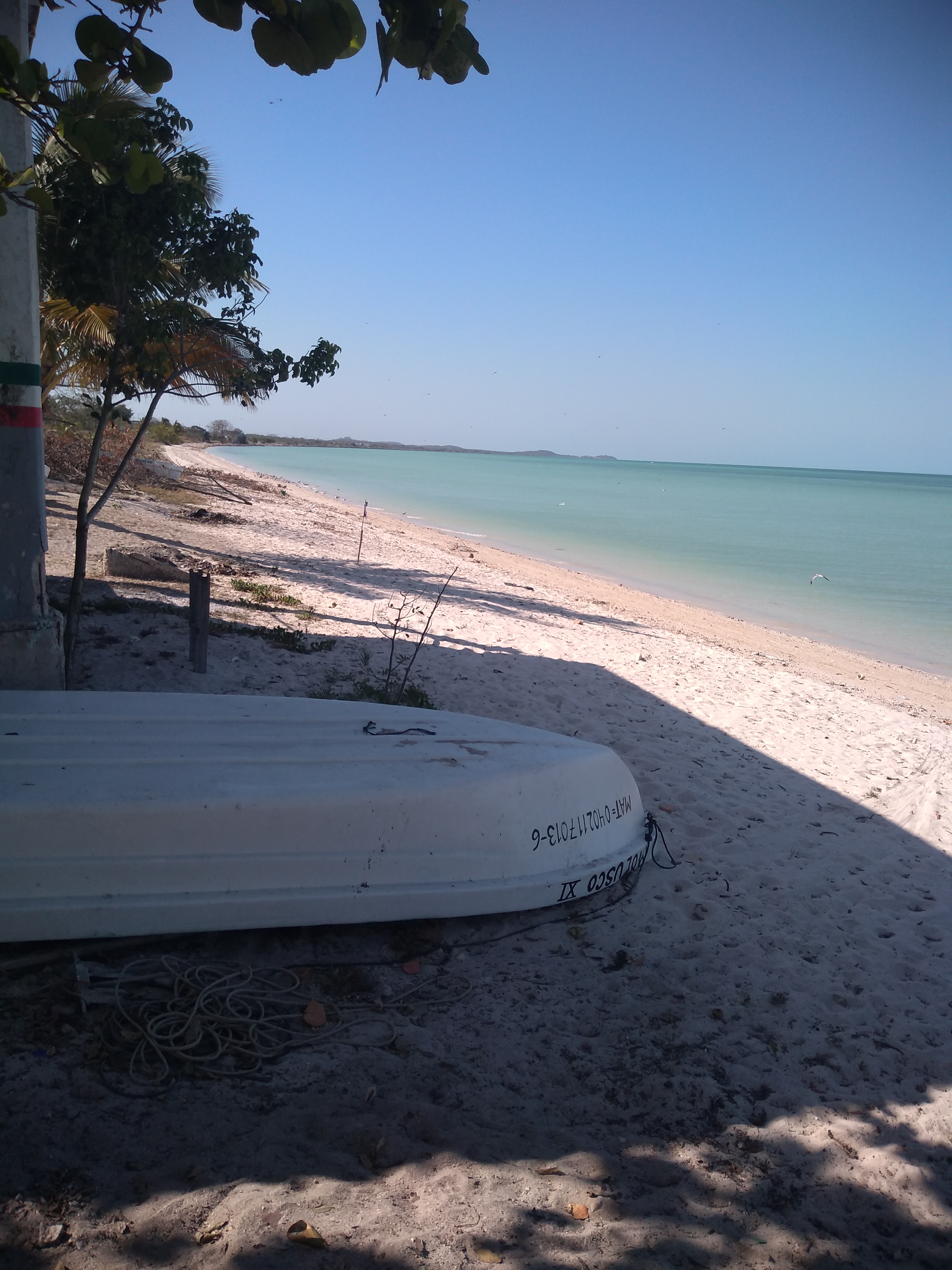 Carnitas estilo Michoacán "Wichos" image 3