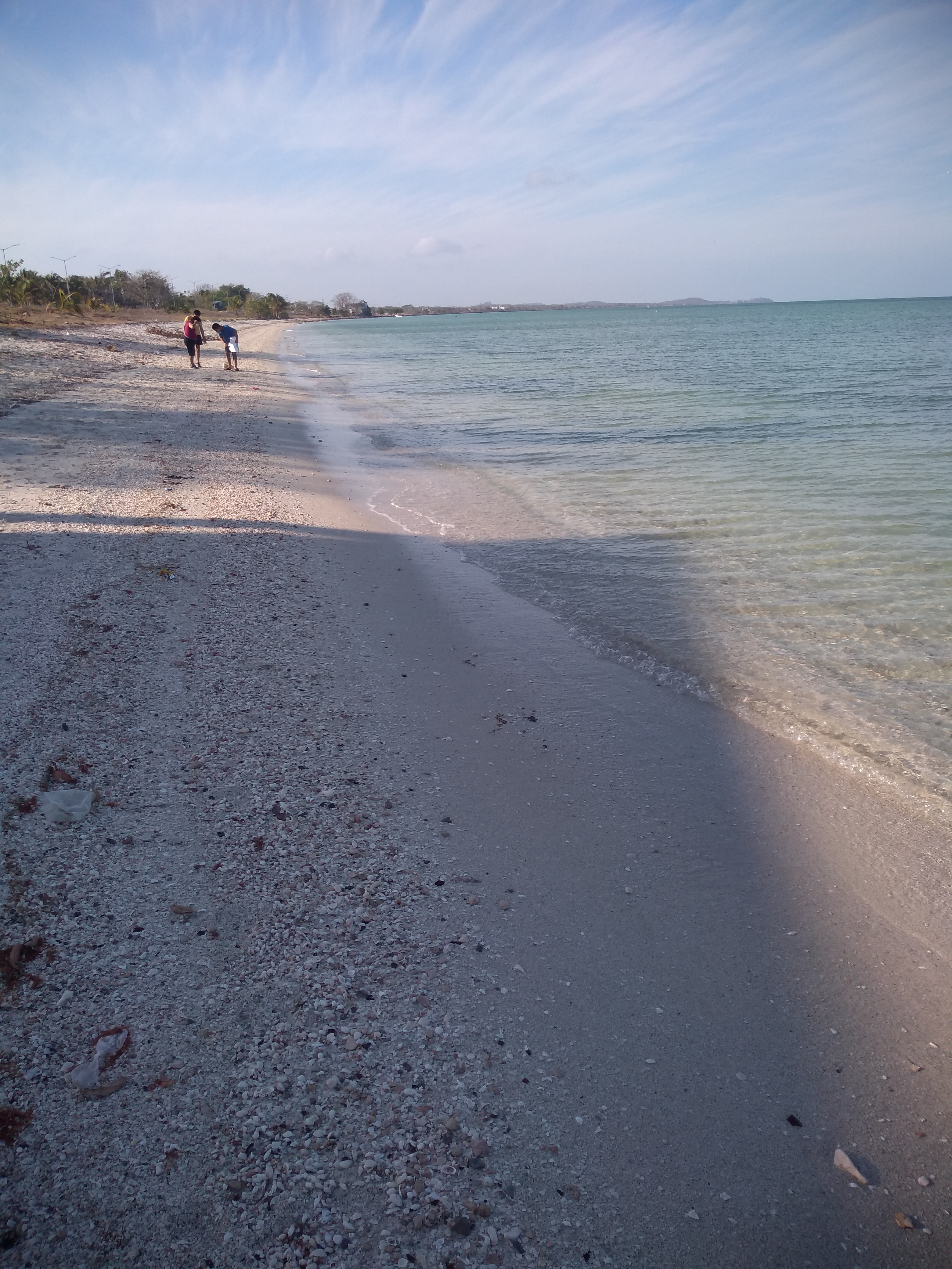 Carnitas estilo Michoacán "Wichos" image 7