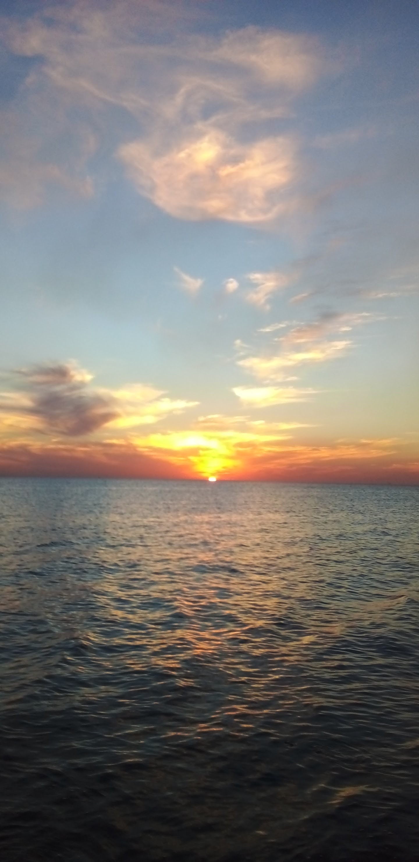 Carnitas estilo Michoacán "Wichos" image 8