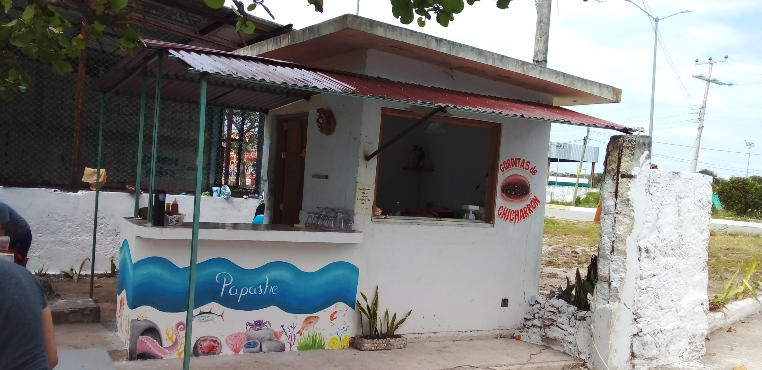 Carnitas estilo Michoacán "Wichos" image 9