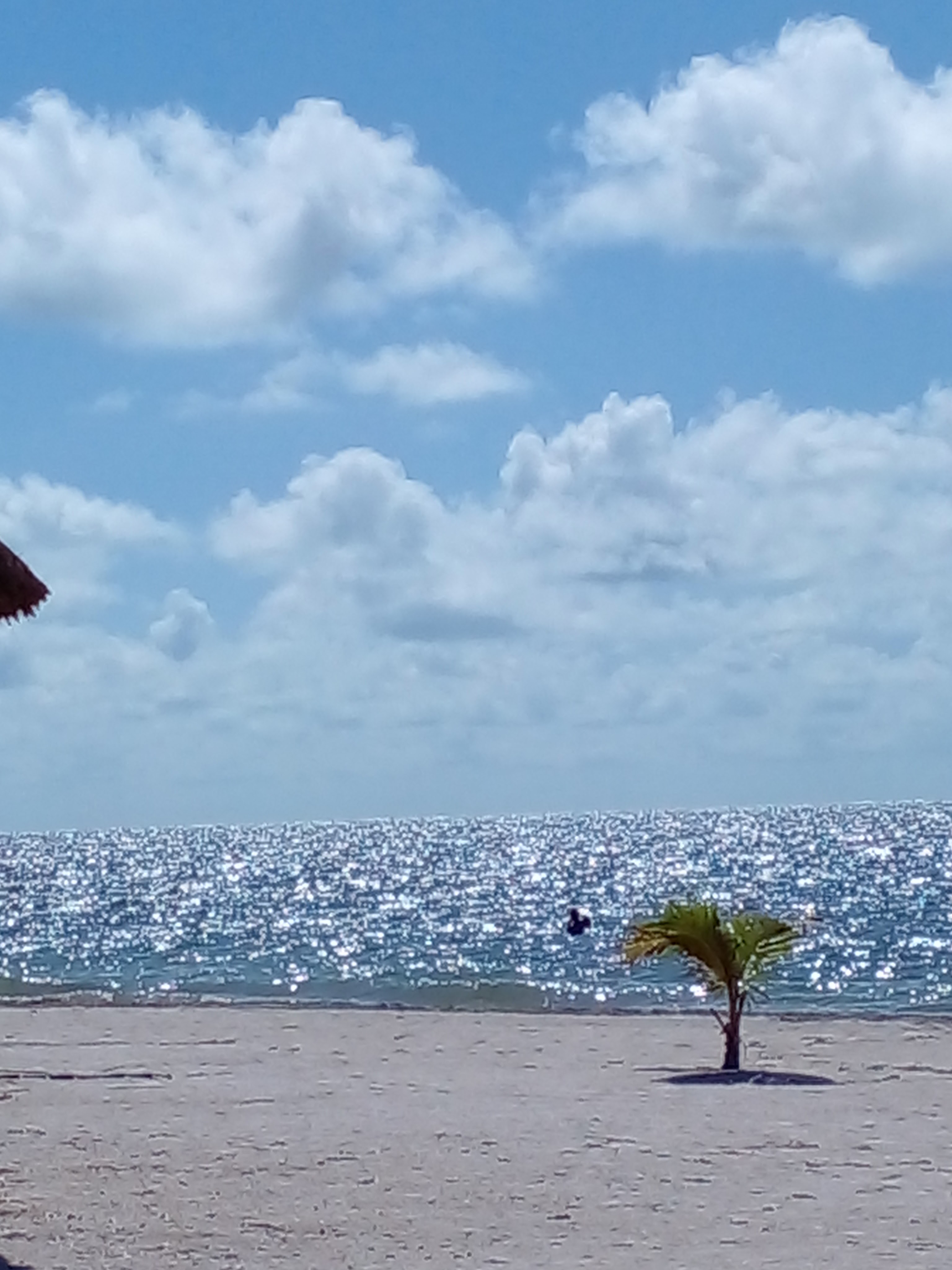 Restaurante Yax-Ha image 4