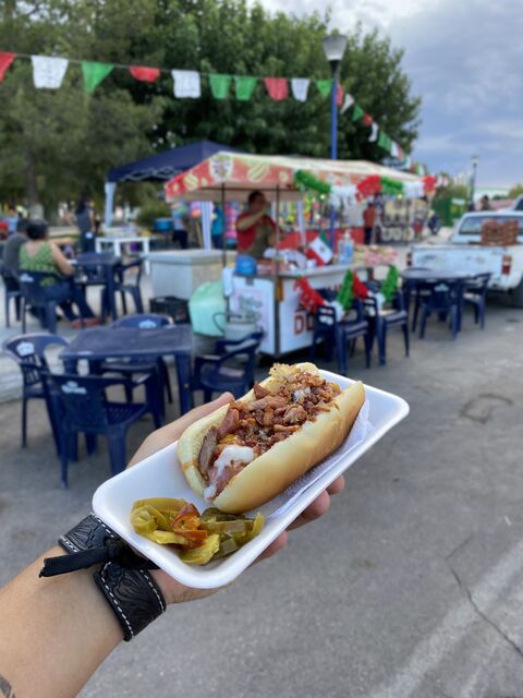 Dogos Rey image 2