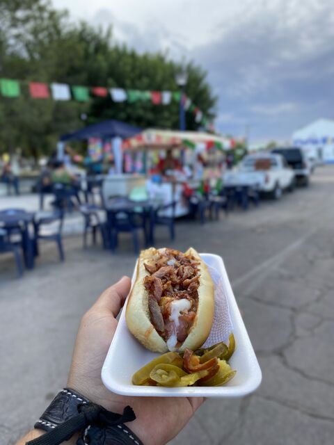 Dogos Rey image 3