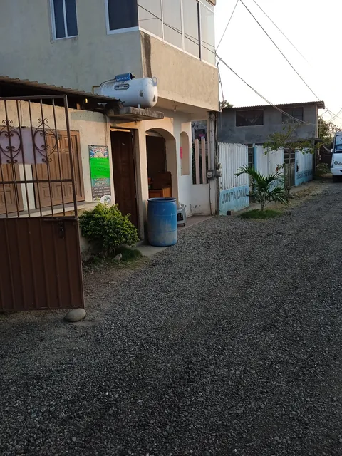 Taquería Paloma image 5